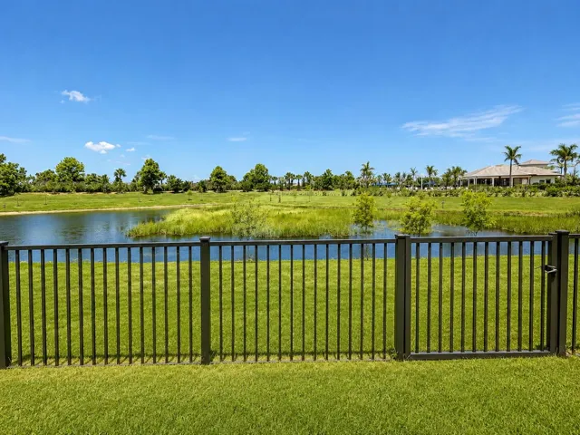 Backyard View