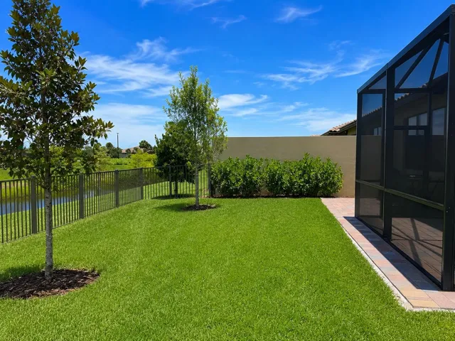 Back Yard 3