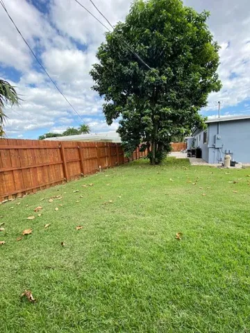 Backyard