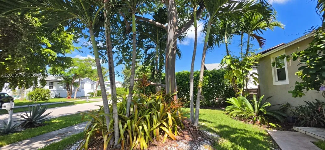 Yard