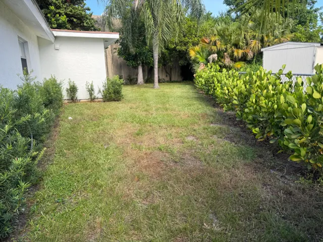 Side Yard