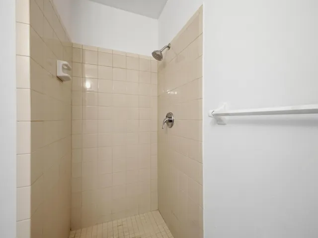 Guest Bath 2