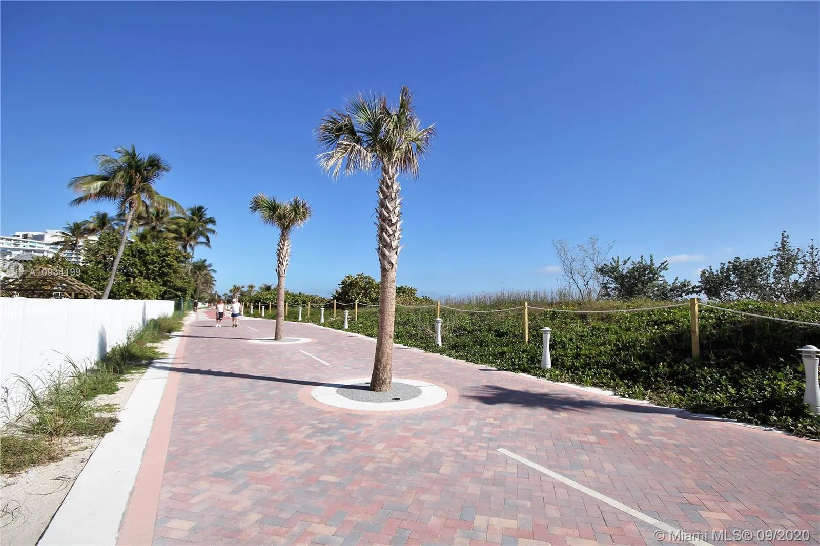 5161 Collins Av 806, Miami Beach, Florida 33140, Miami Beach, Florida 33140, 2 Bedrooms Bedrooms, ,2 BathroomsBathrooms,Residential Lease,For Rent,5161 Collins Av 806, Miami Beach, Florida 33140,A10934199