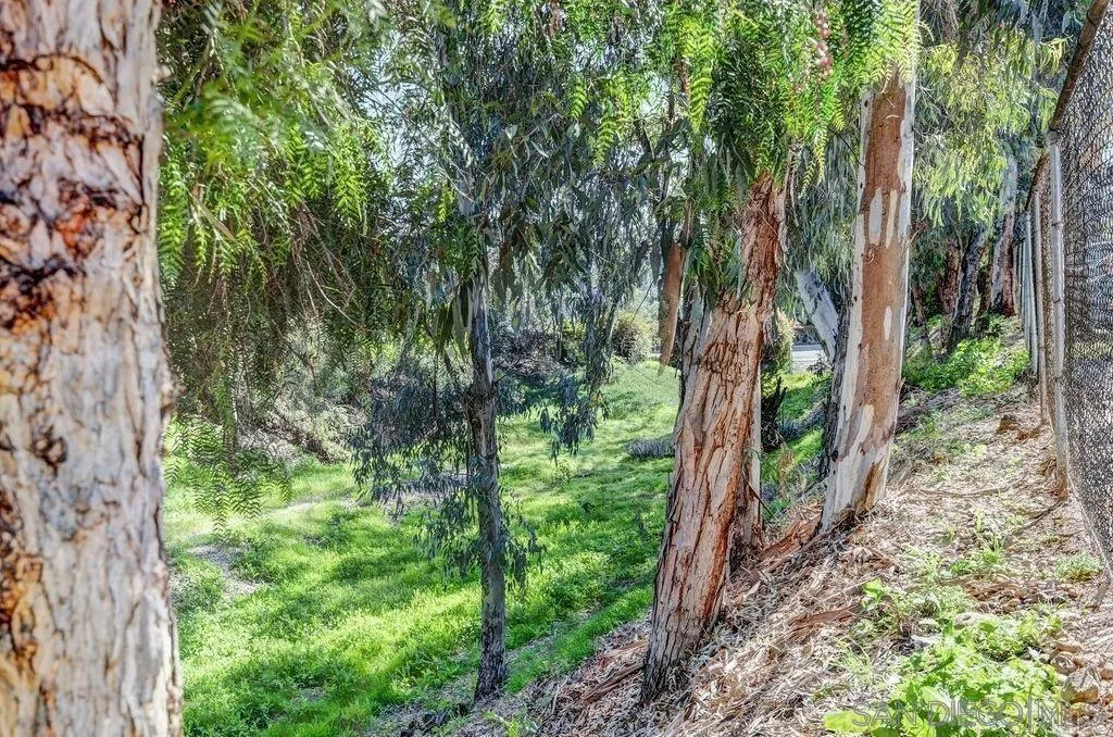 https://cdn.realtyfeed.com/cdn/127/220018190/a75154206122ae426510fa78a471a7f6.webp