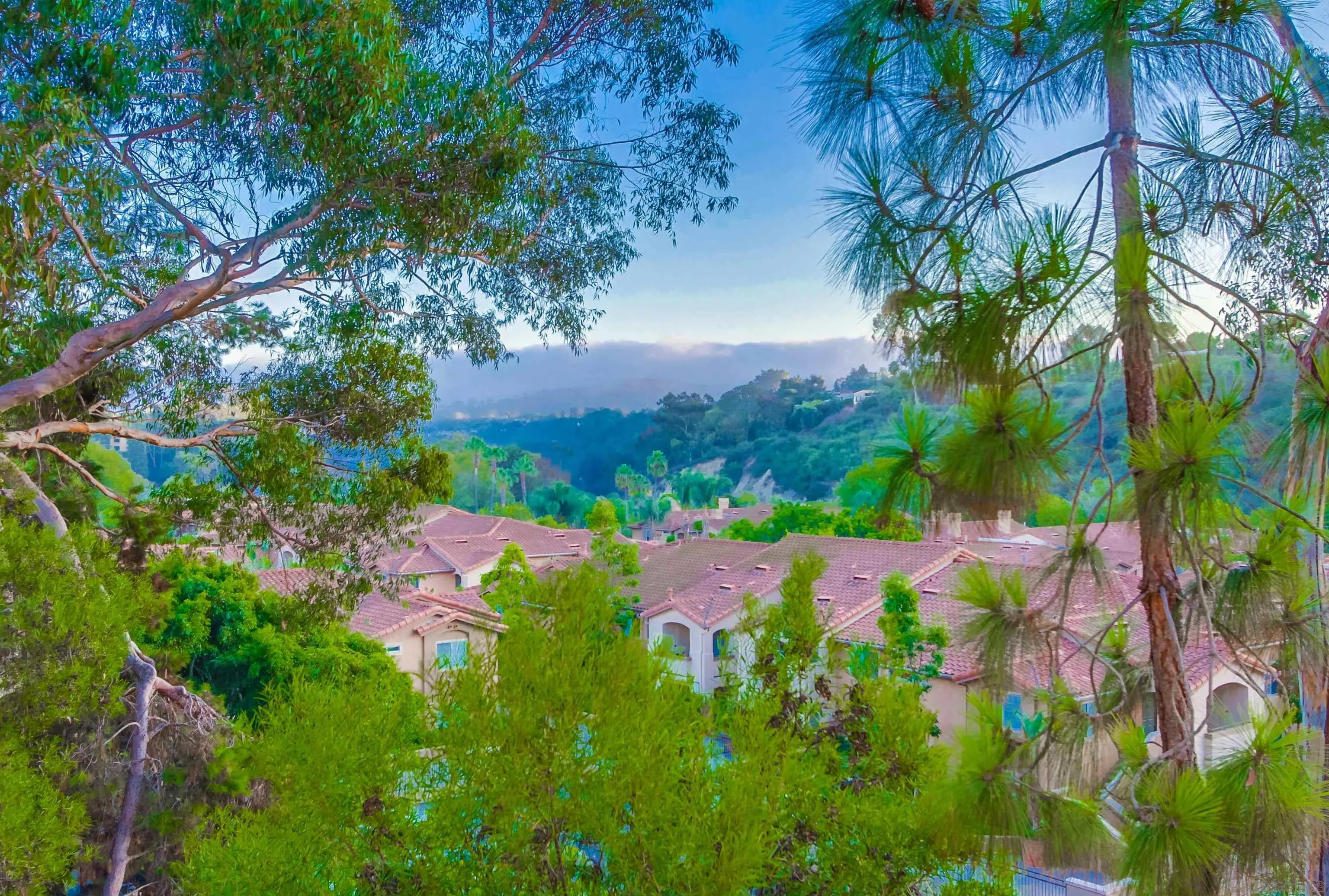 Photo #6: 230010823 Listing 