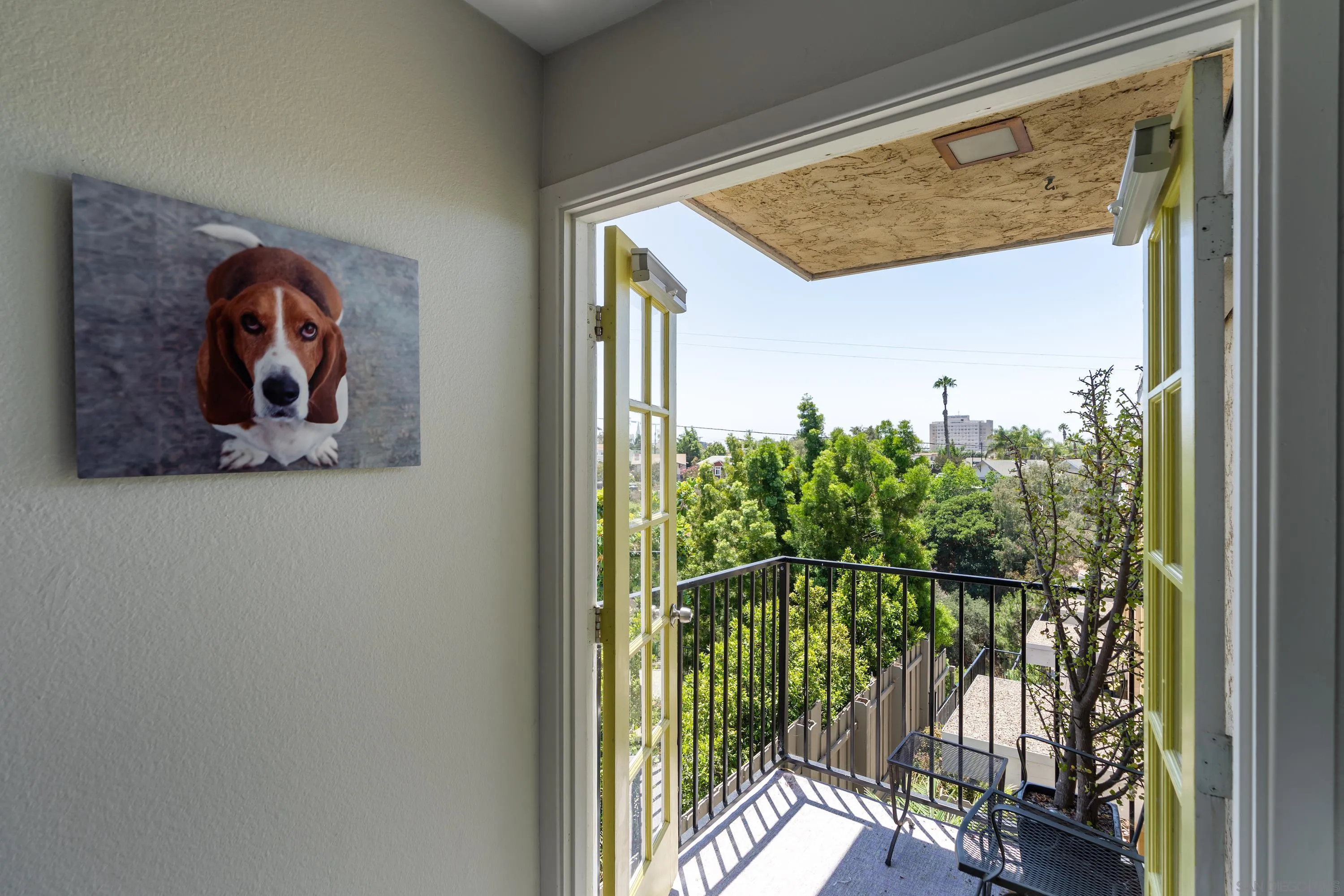 Photo #5: 230014486 Listing 