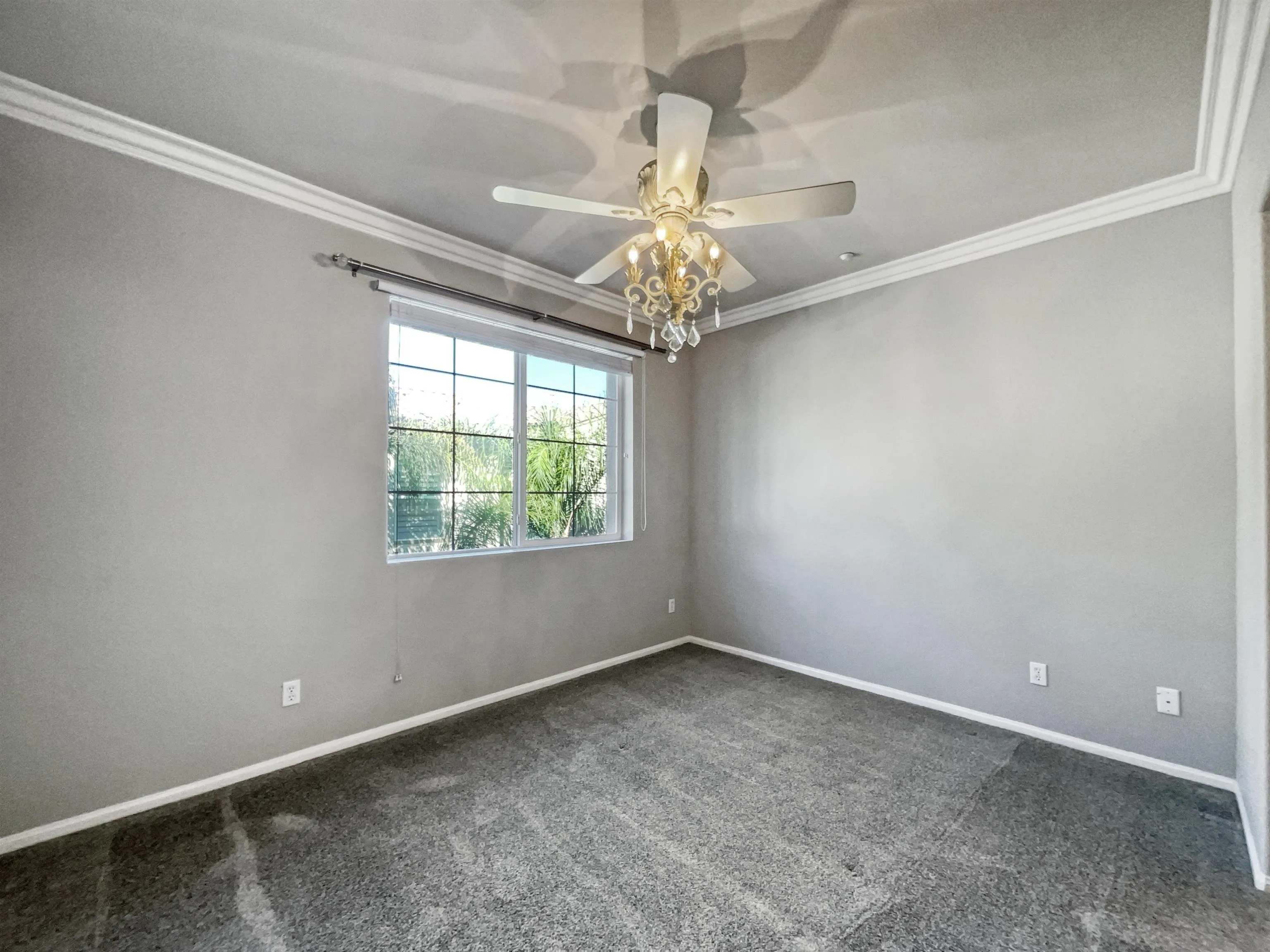 Photo #5: 230021769 Listing 