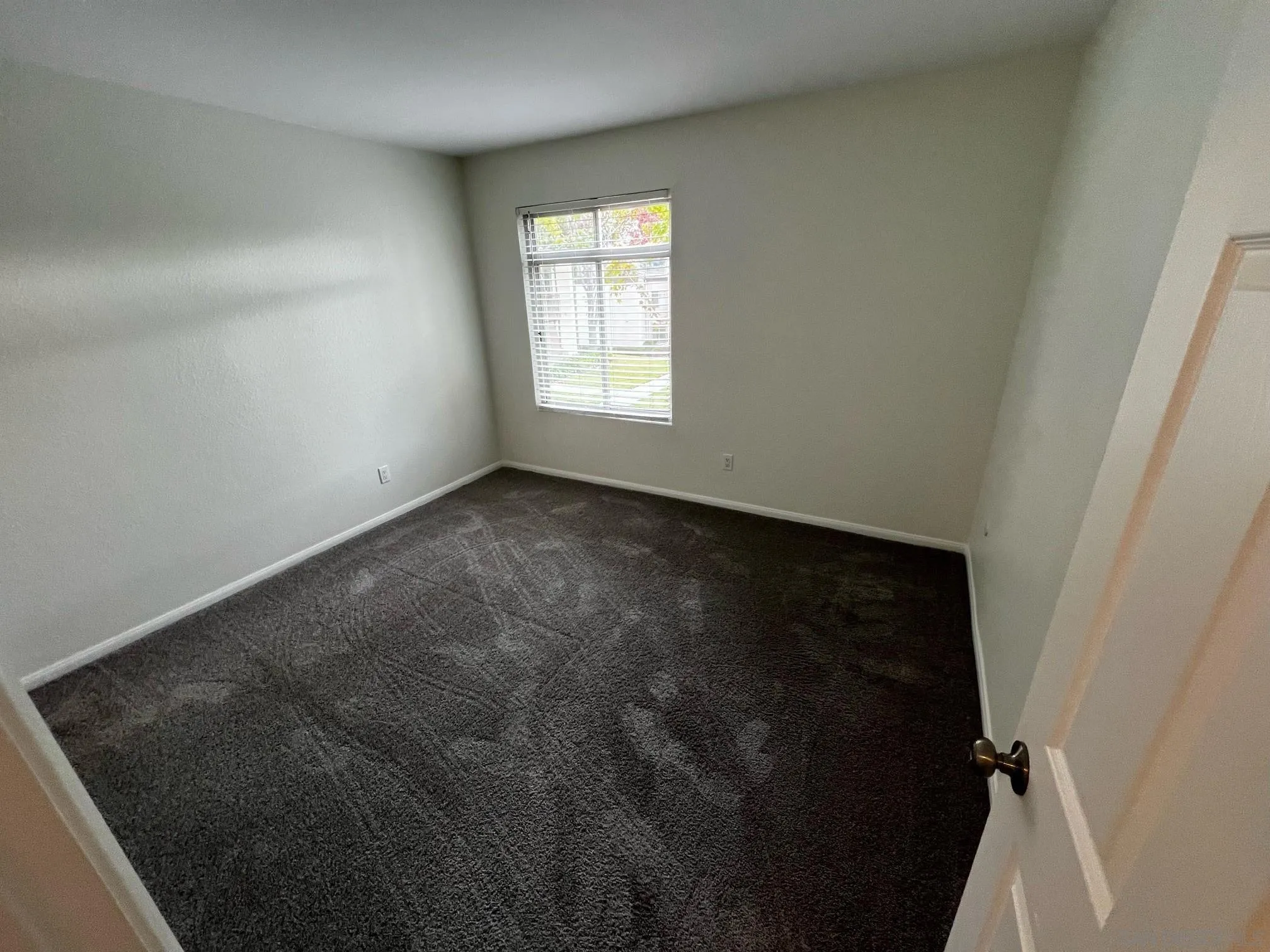 Photo #6: 230023111 Listing 