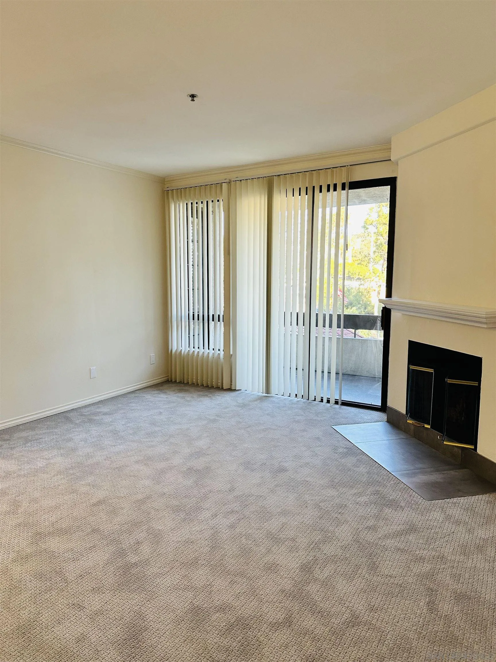 Photo #3: 240000836 Listing 