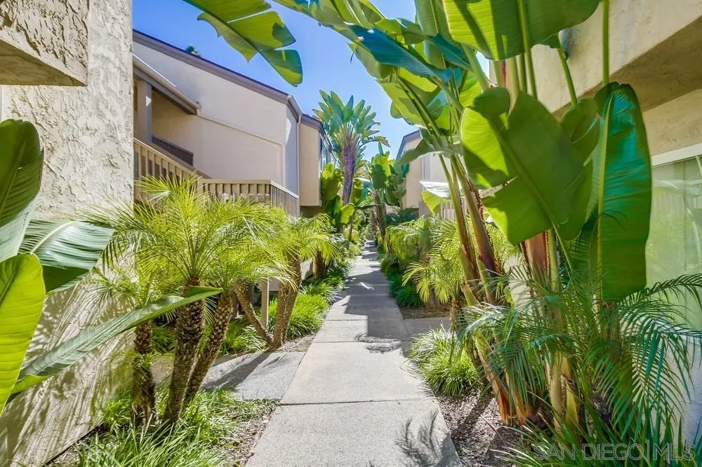Photo #2: 240002205 Listing 
