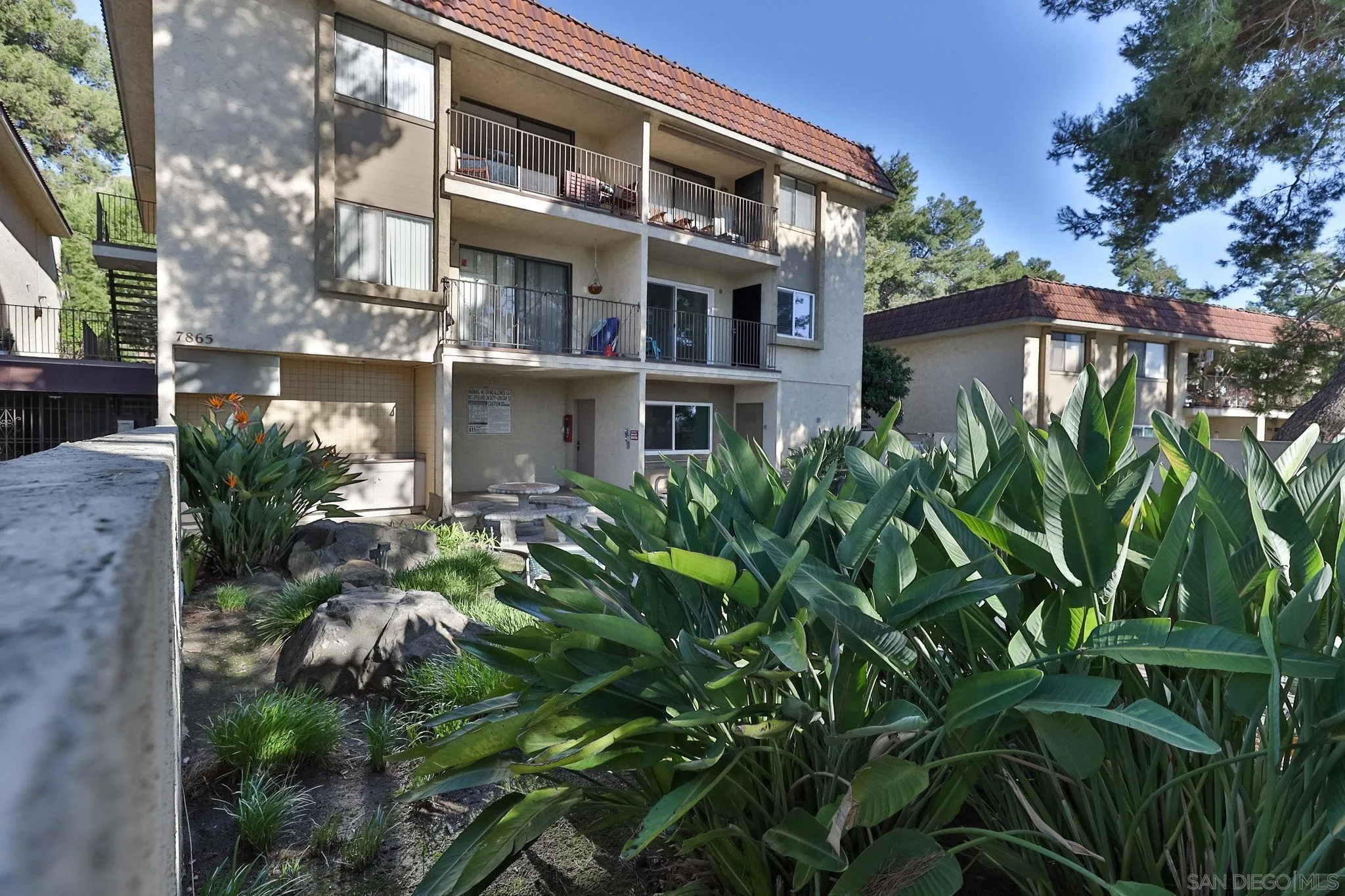 Photo #2: 240002482 Listing 