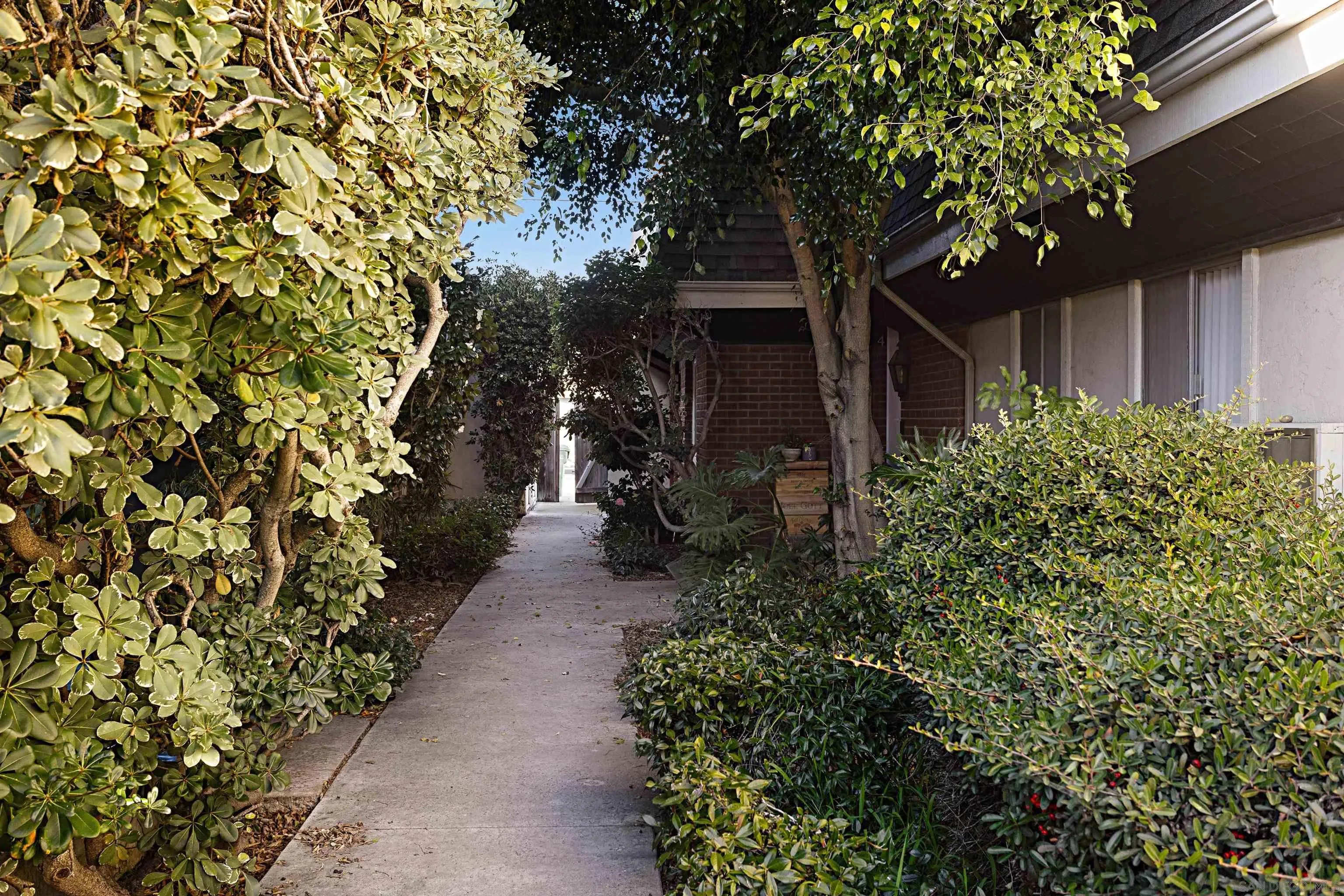 Photo #2: 240003180 Listing 