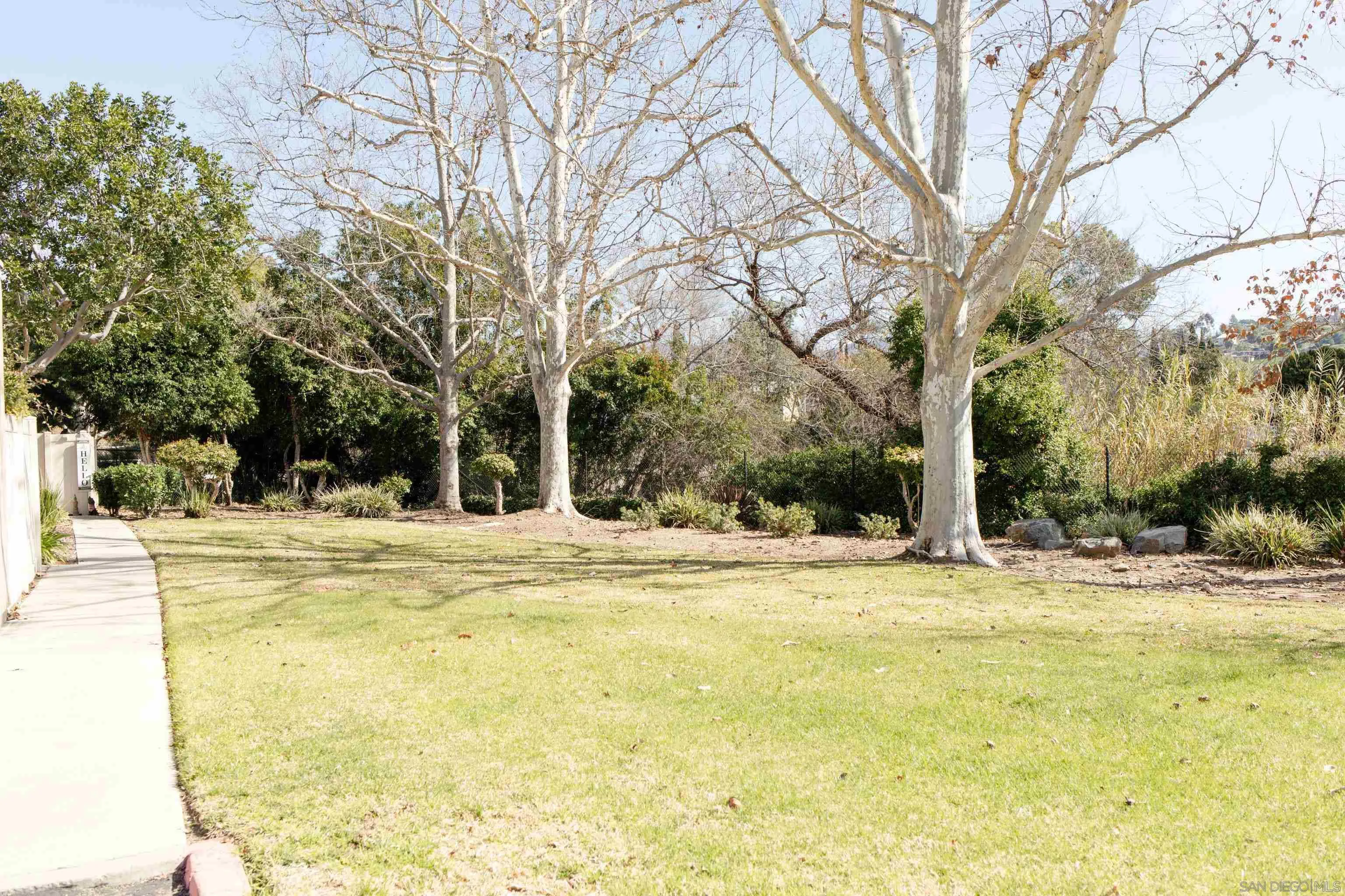 Photo #2: 240004751 Listing 