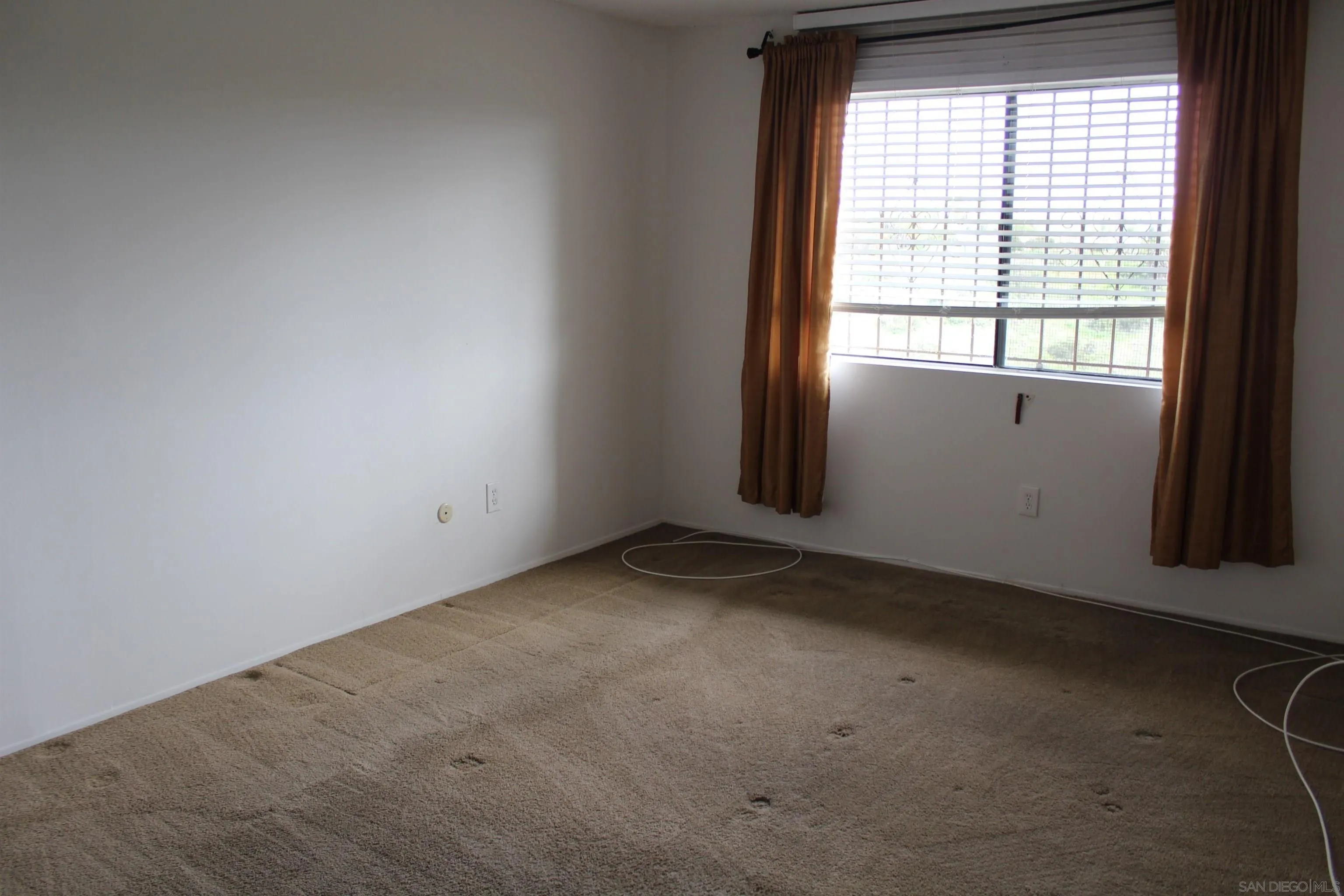 Photo #5: 240005851 Listing 