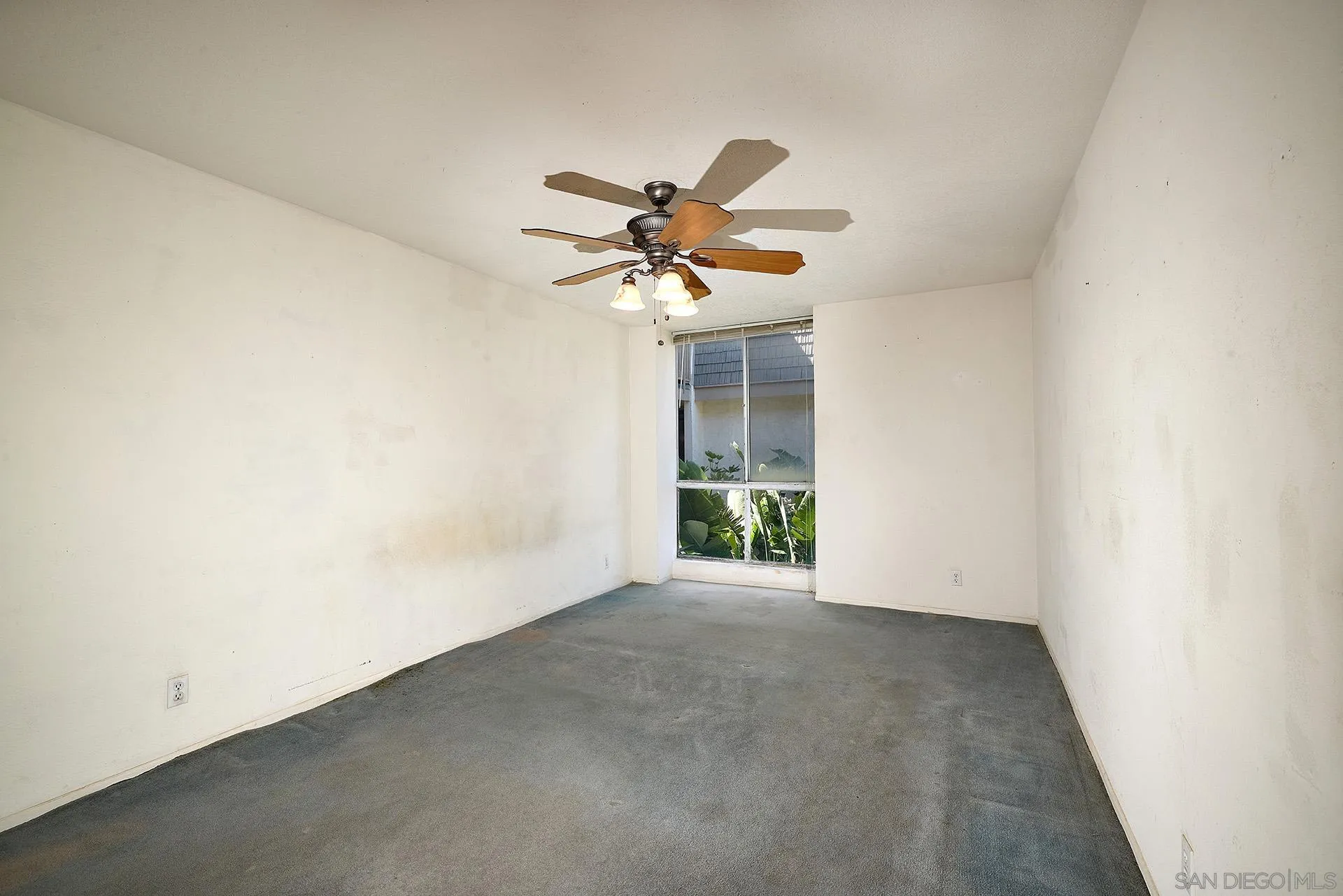 Photo #6: 240007586 Listing 