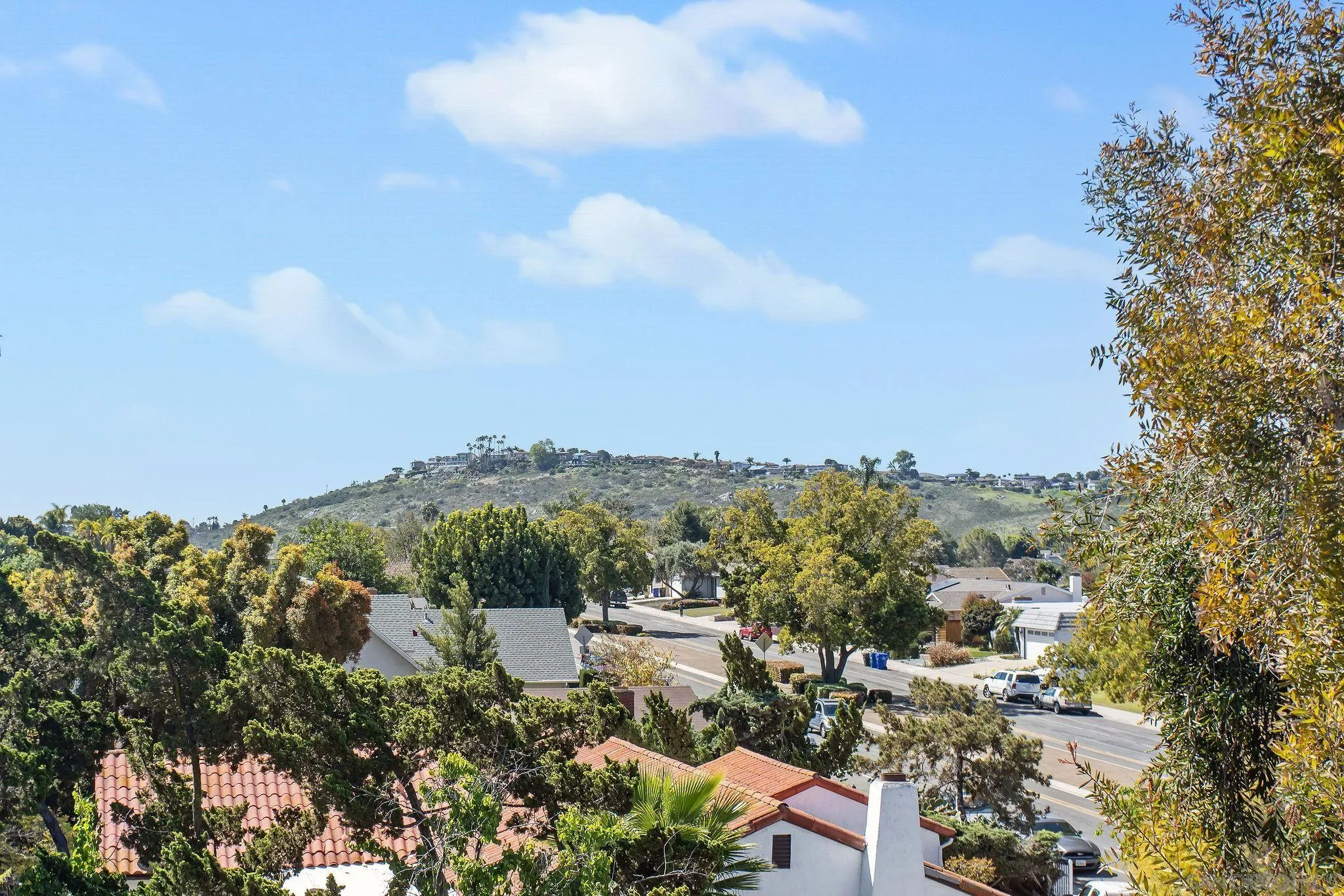 Photo #5: 240007922 Listing 