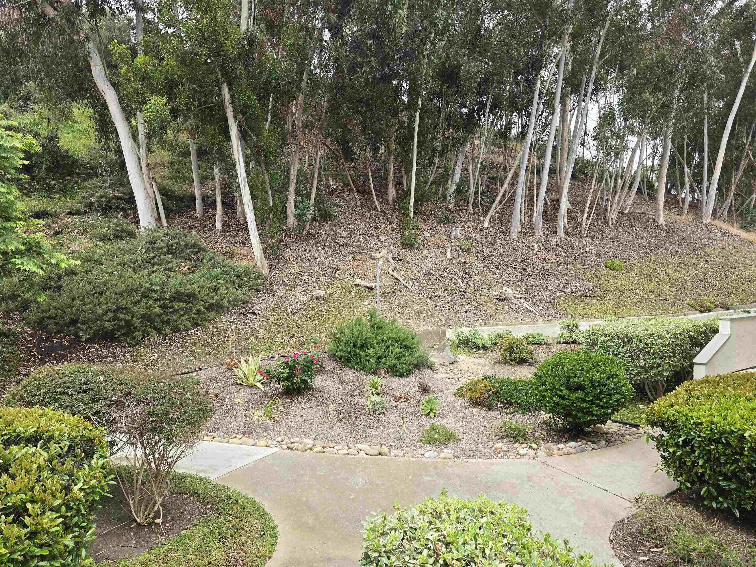 Photo #4: 240012159 Listing 