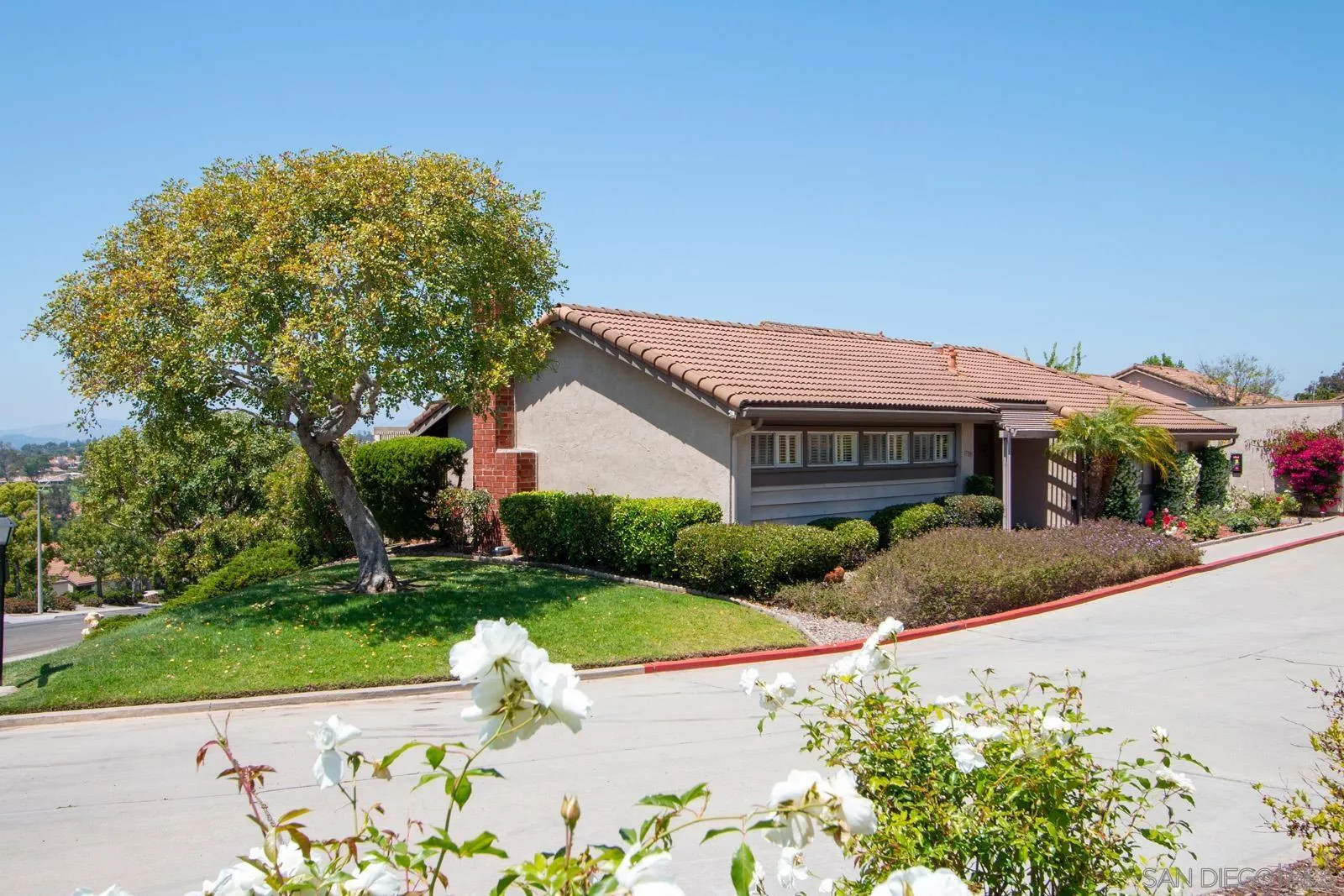 Photo #3: 240012419 Listing 