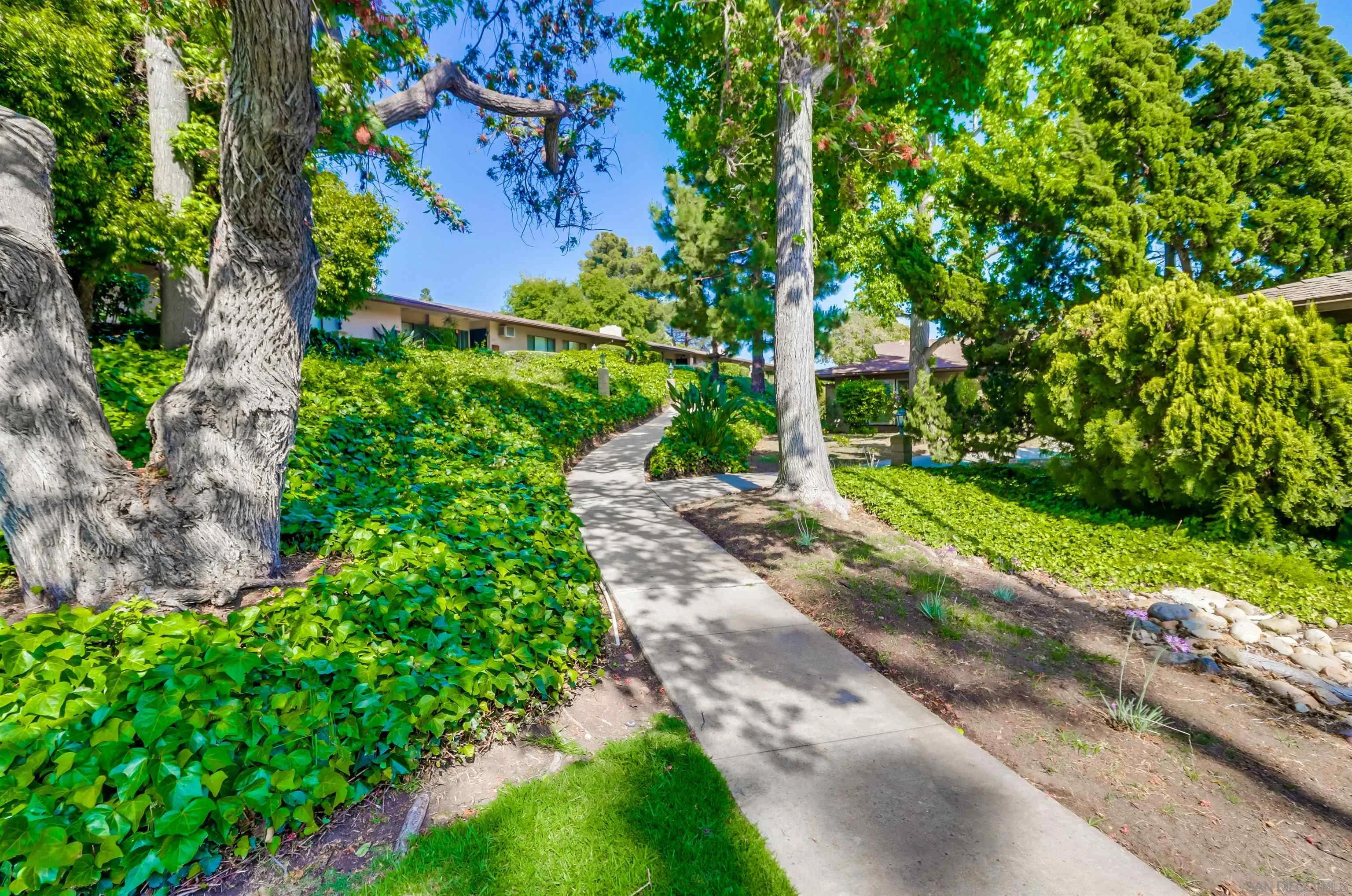 Photo #2: 240012425 Listing 