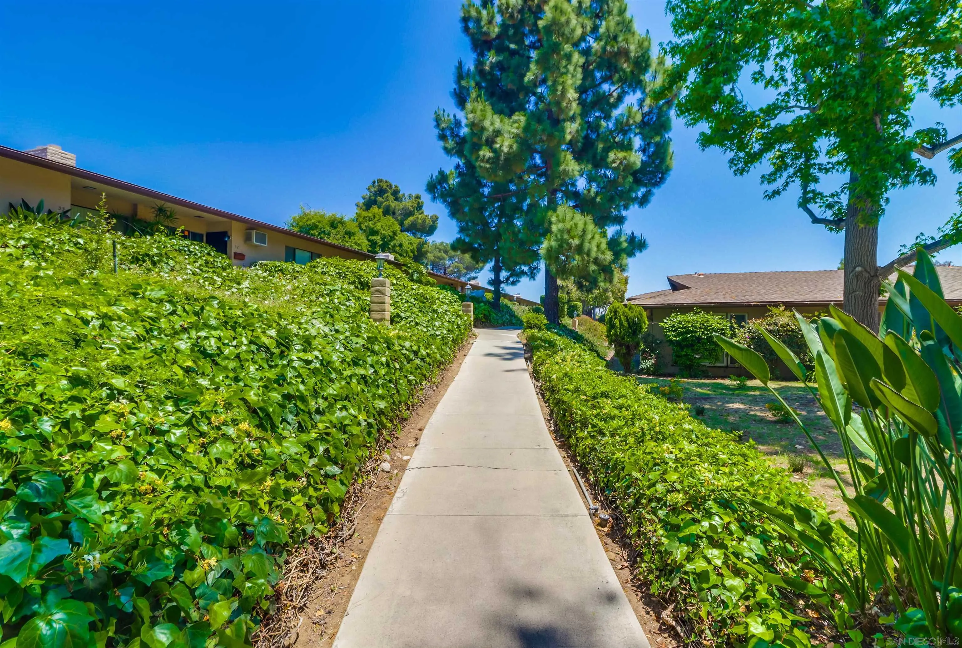 Photo #3: 240012425 Listing 