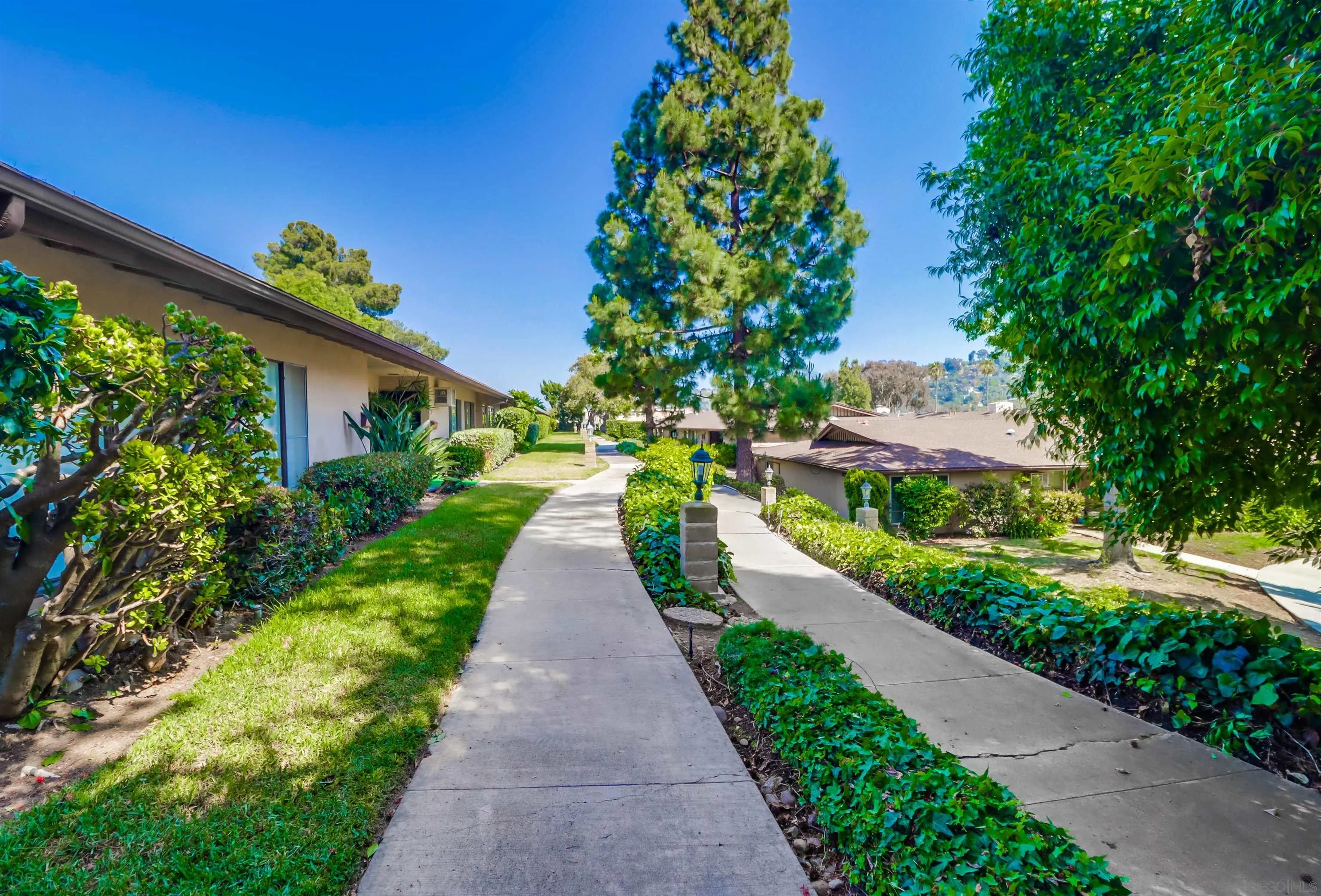 Photo #4: 240012425 Listing 