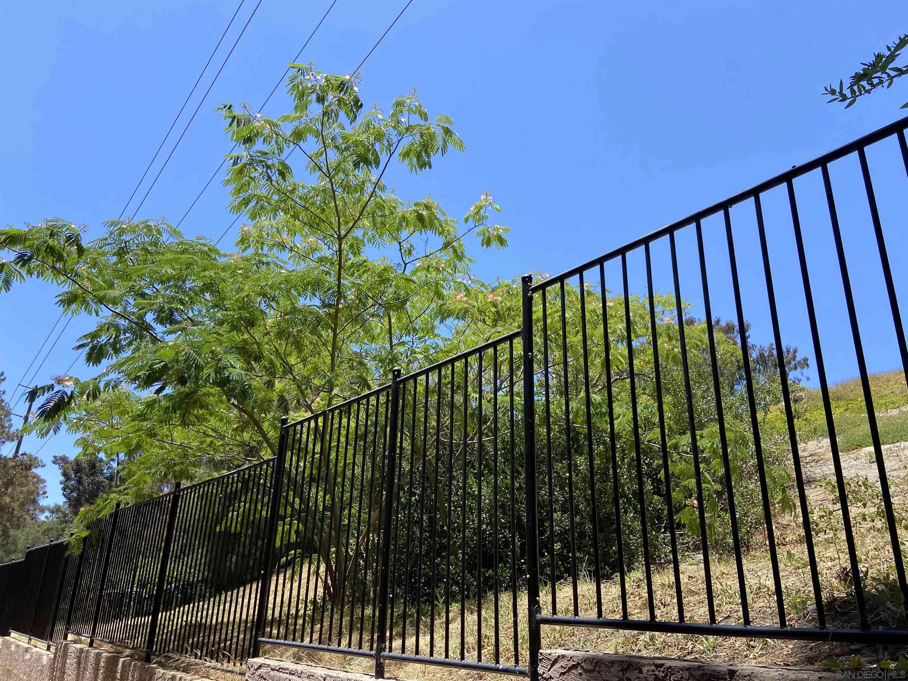 Photo #3: 240014554 Listing 