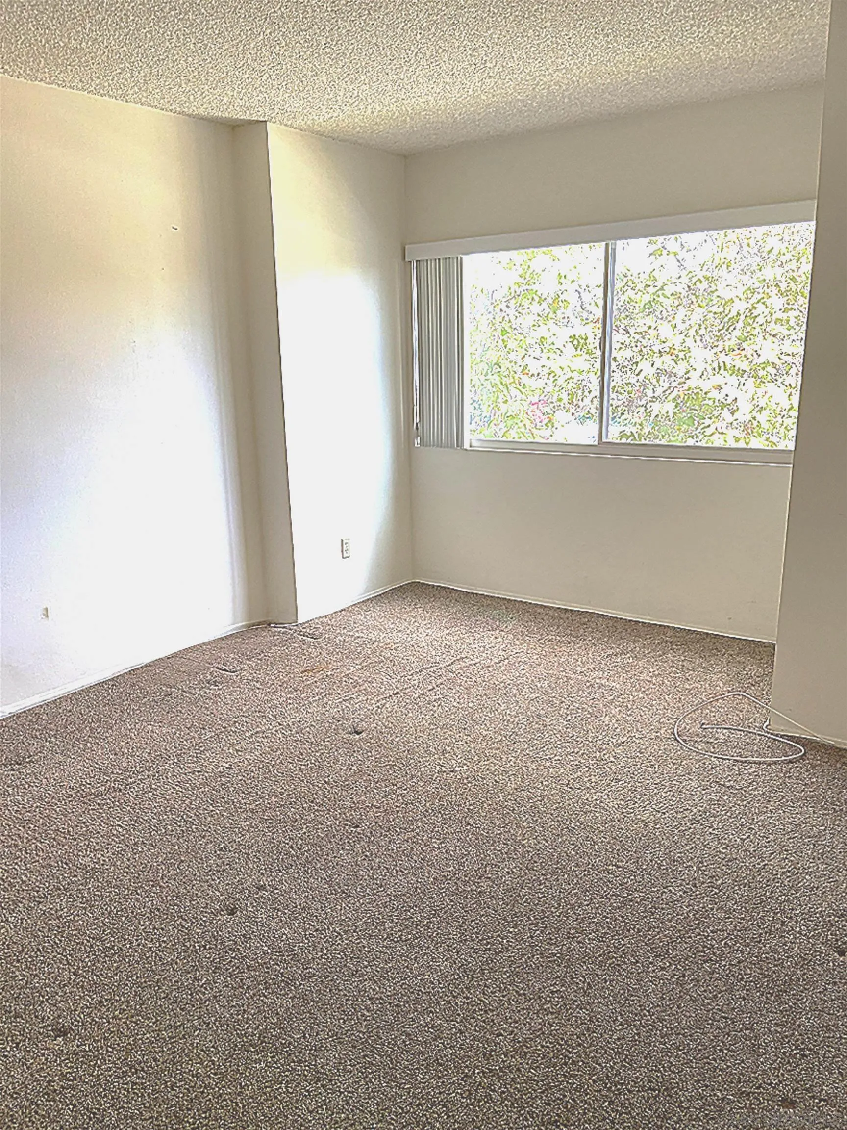 Photo #6: 240027103 Listing 