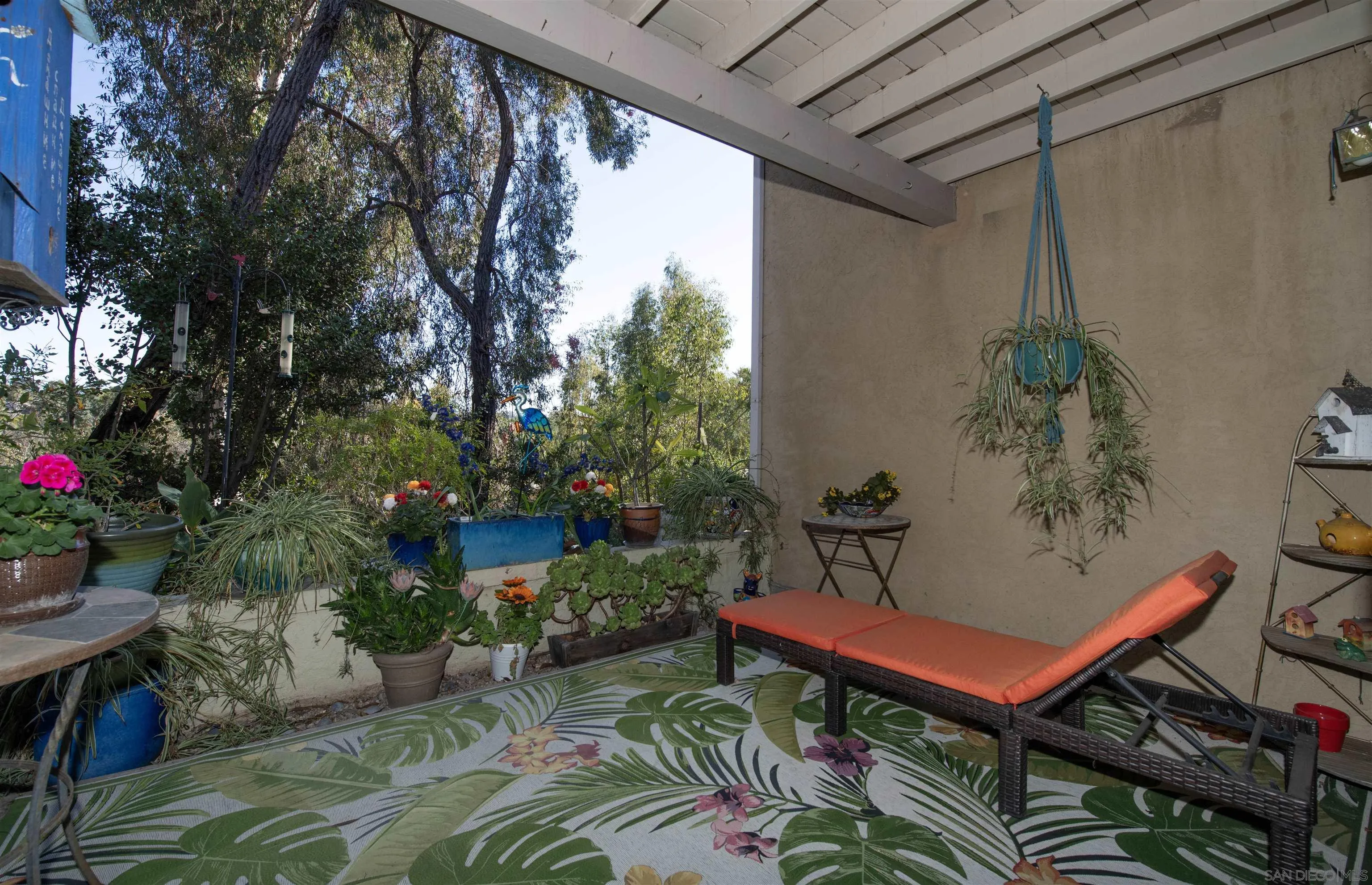 Photo #5: 240028184 Listing 