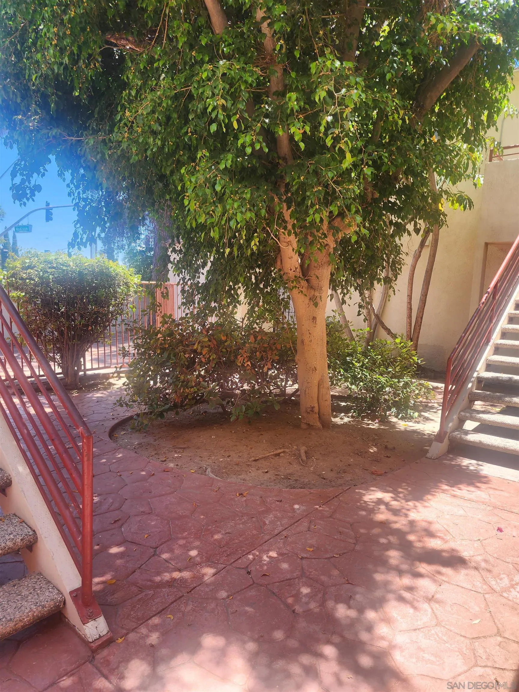 Photo #4: 250000620 Listing 