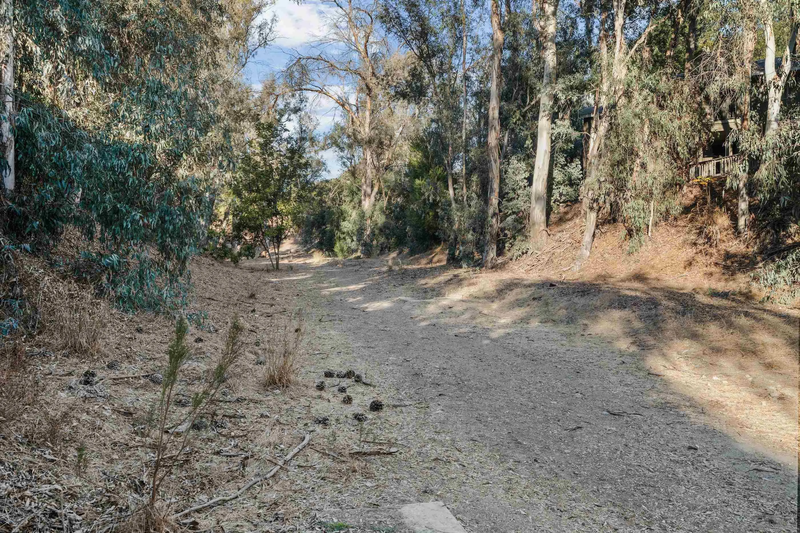 Photo #22: 250001251 Listing: Photo #22