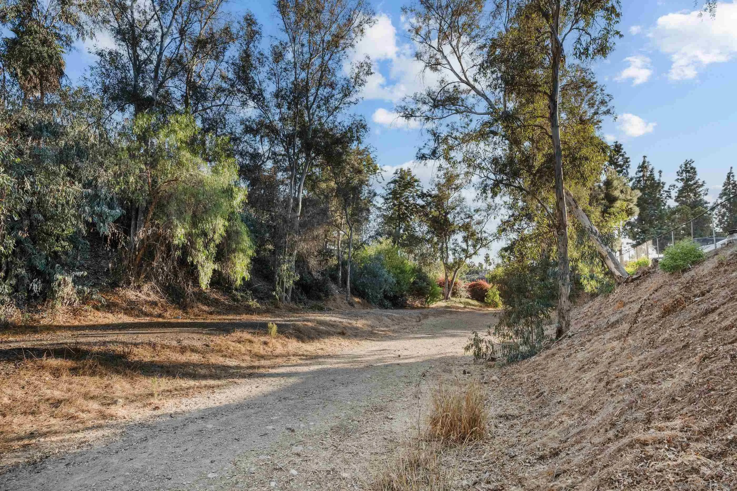 Photo #21: 250001251 Listing: Photo #21