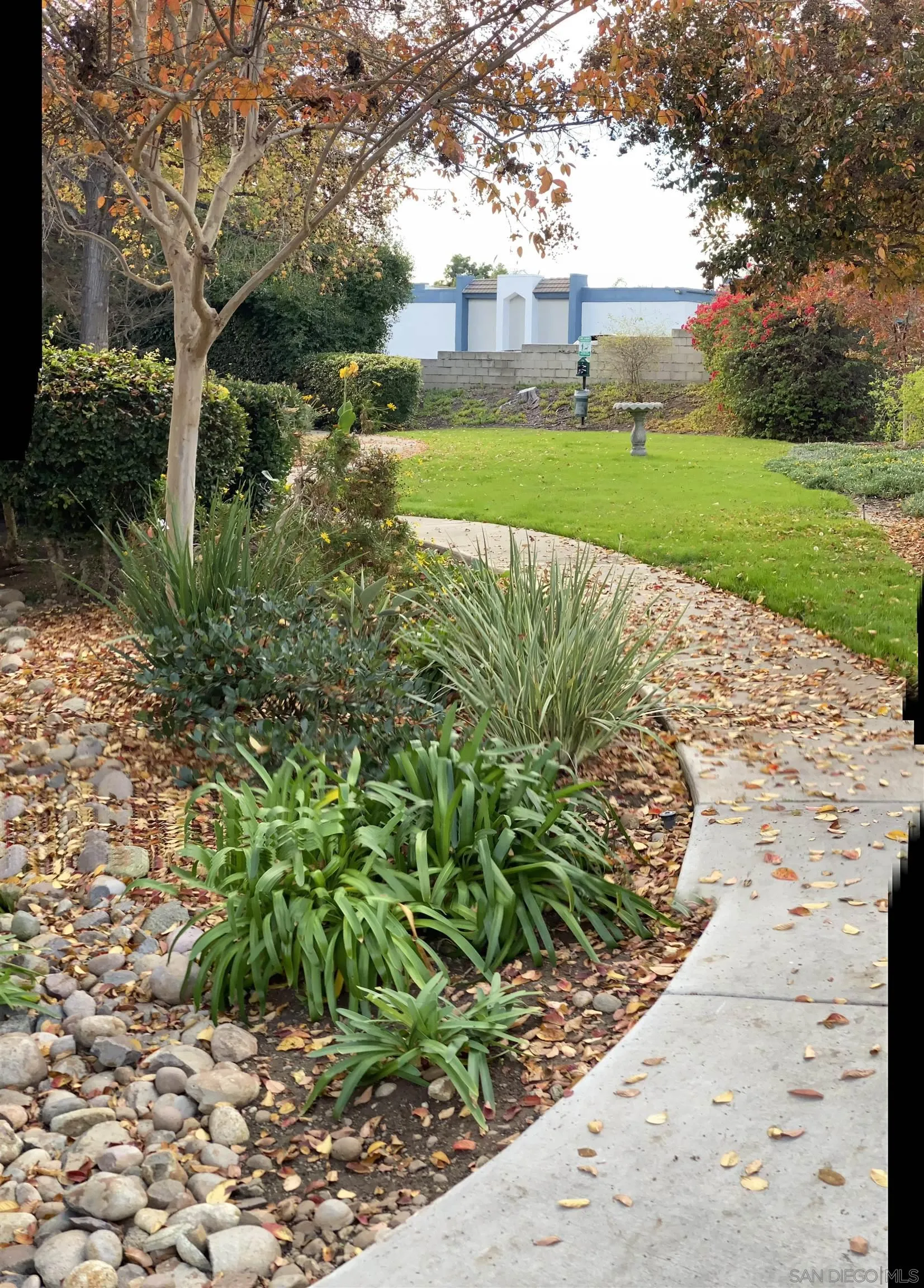 Photo #11: 250001251 Listing: Photo #11