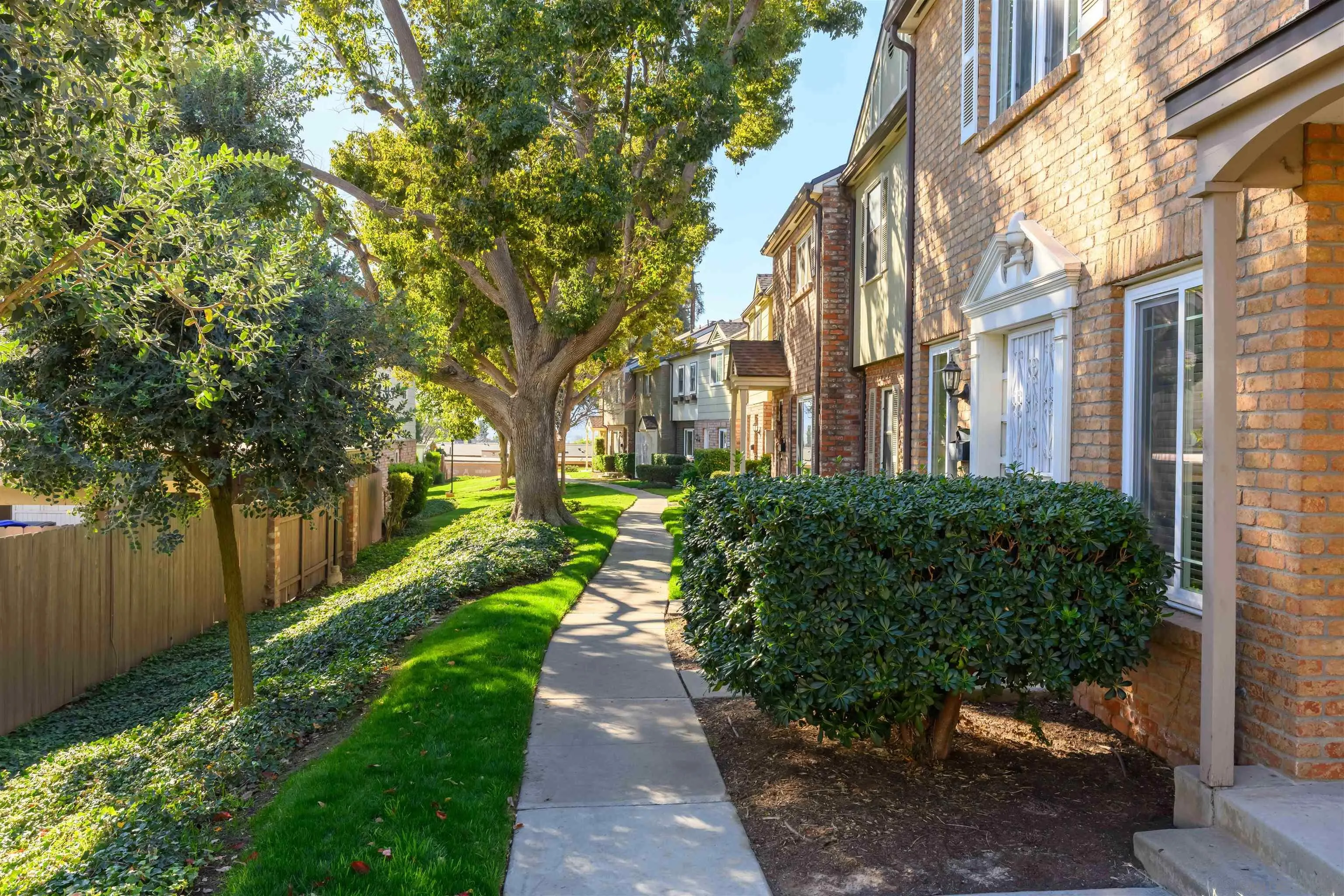 Photo #2: 250016854 Listing 
