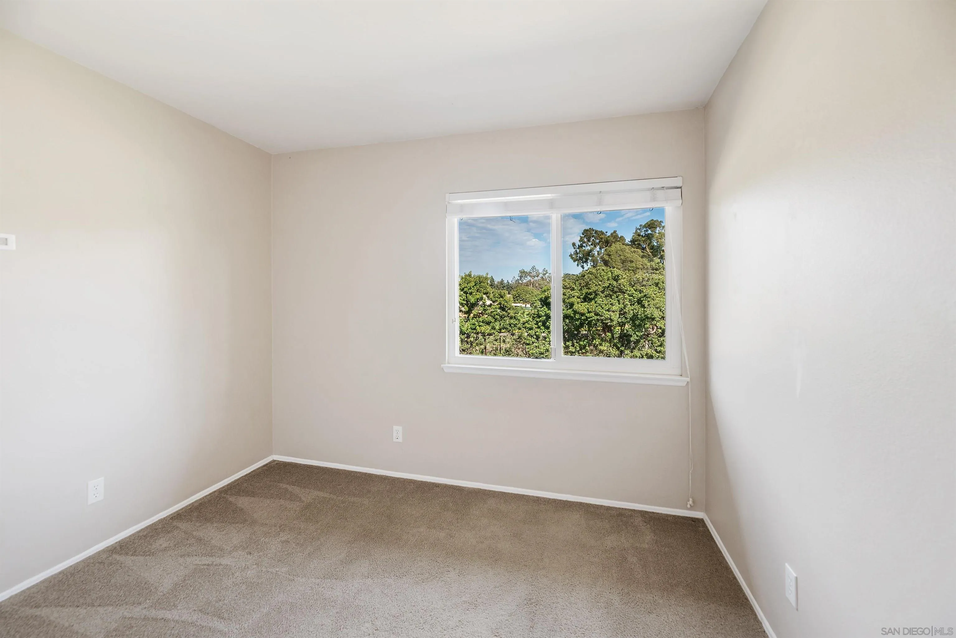 Photo #29: 250018940 Listing: Photo #29