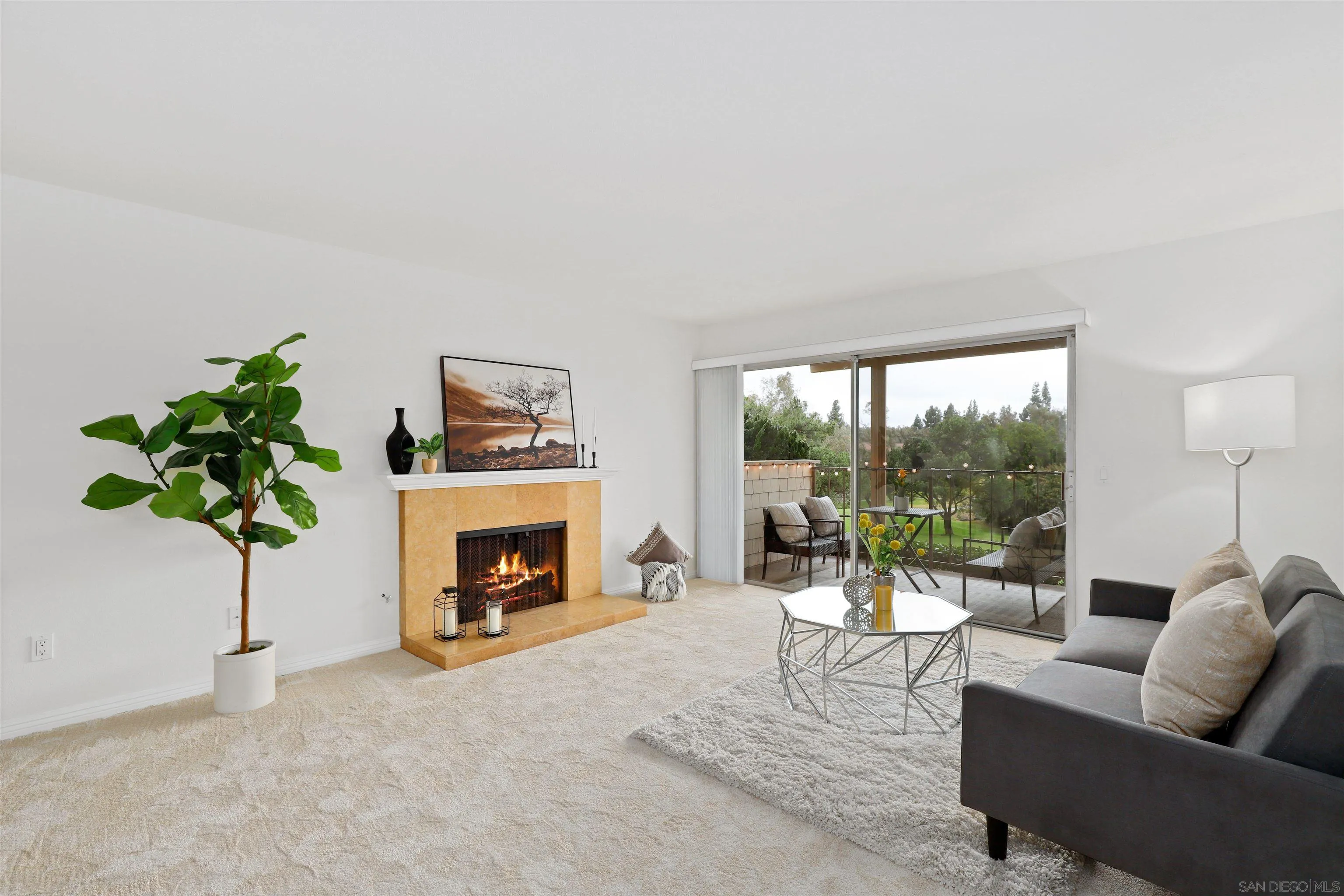Photo #2: 250019027 Listing 
