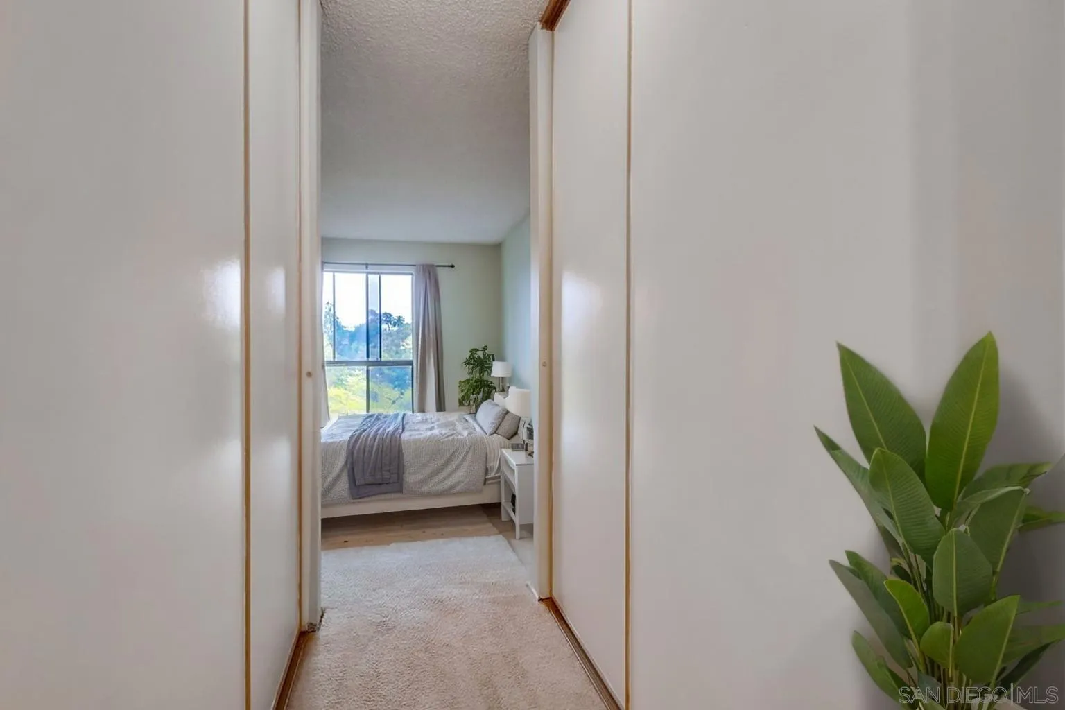 Photo #4: 250019358 Listing 