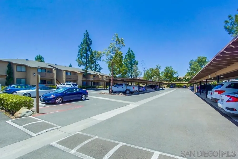 Photo #21: 250021944 Listing: Photo #21
