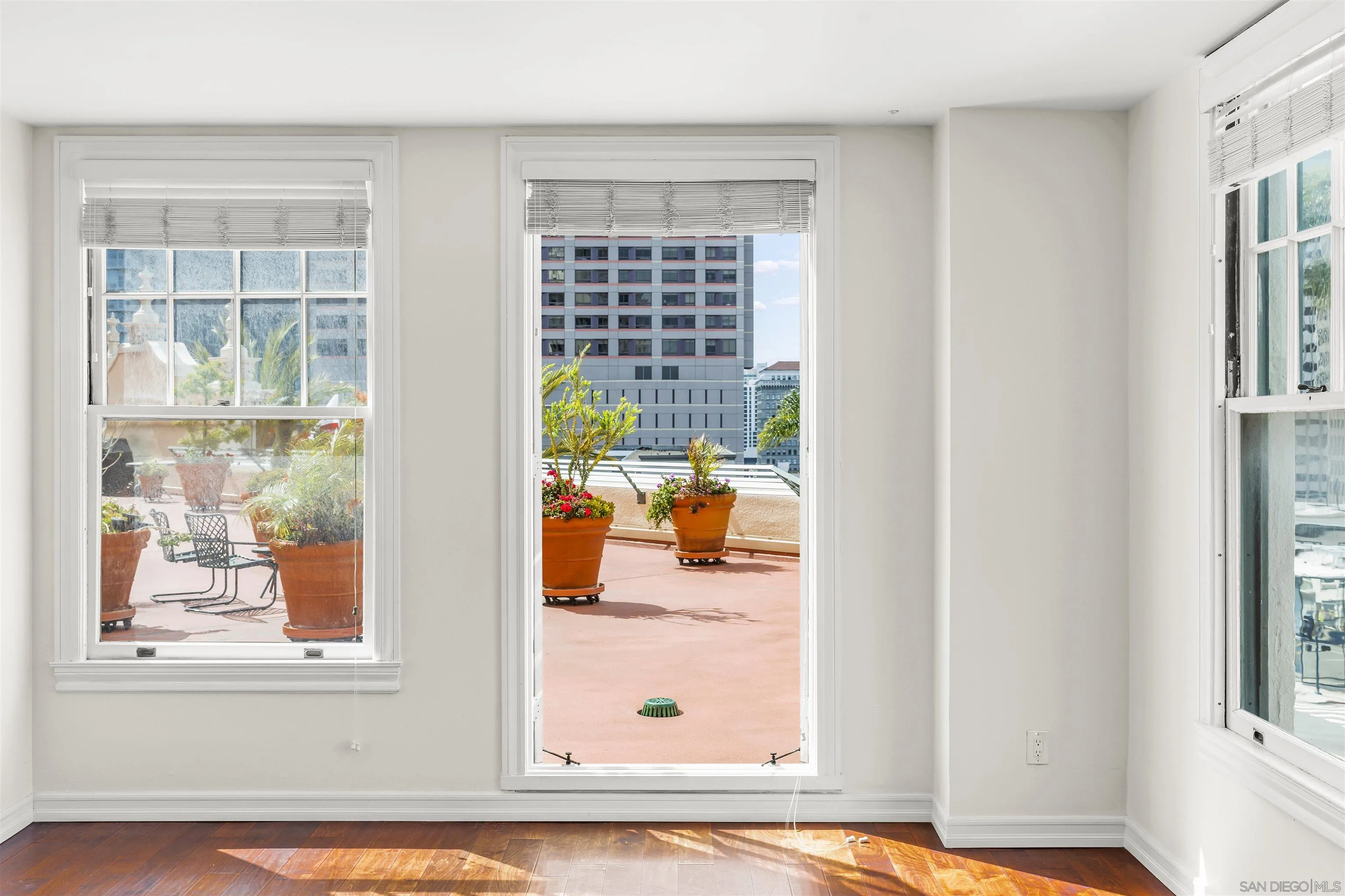 Photo #4: 250022344 Listing 