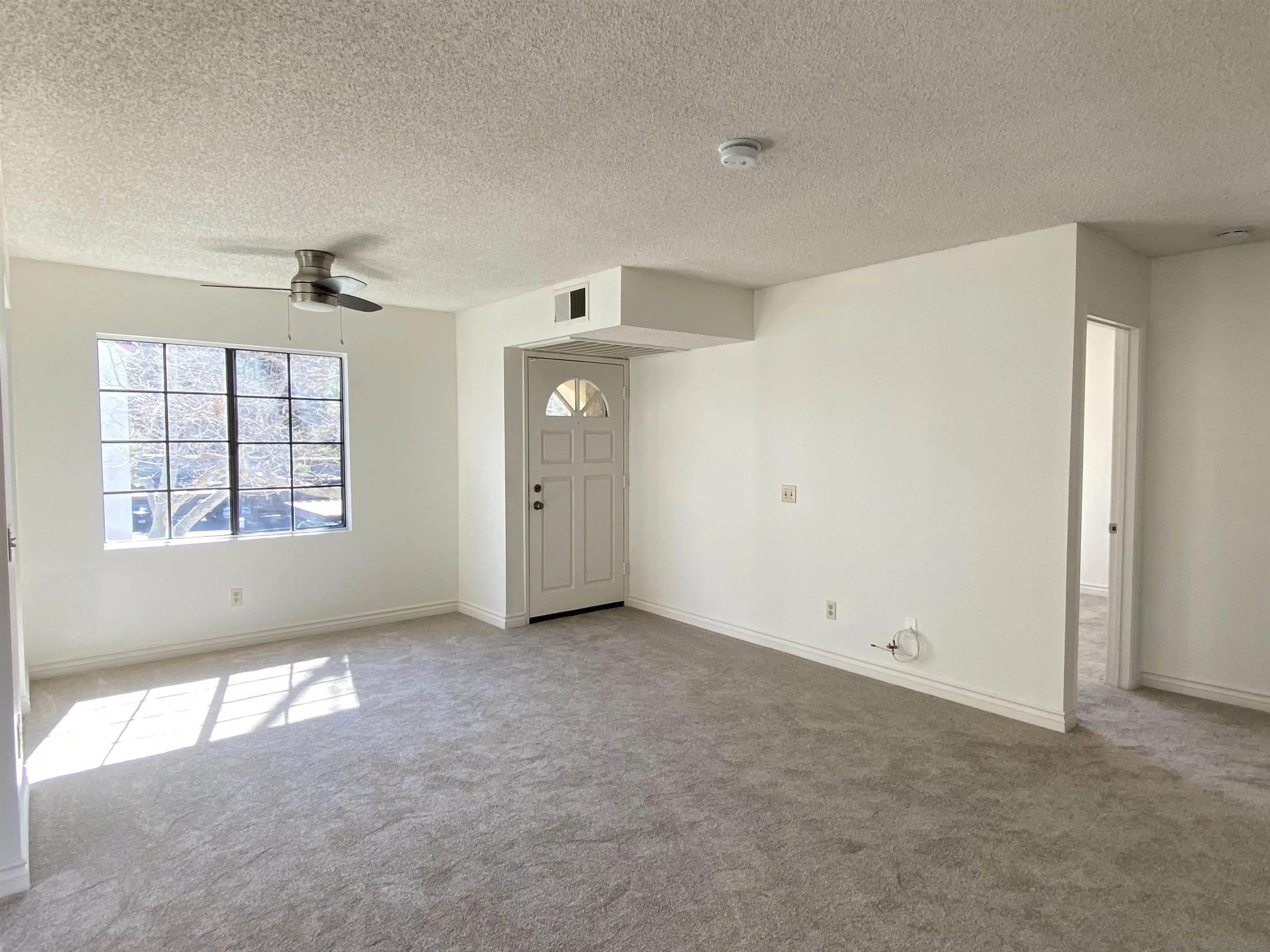 Photo #4: 250022526 Listing 