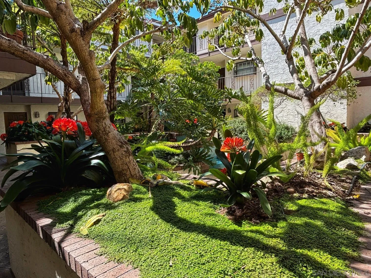 Photo #6: 250022584 Listing 