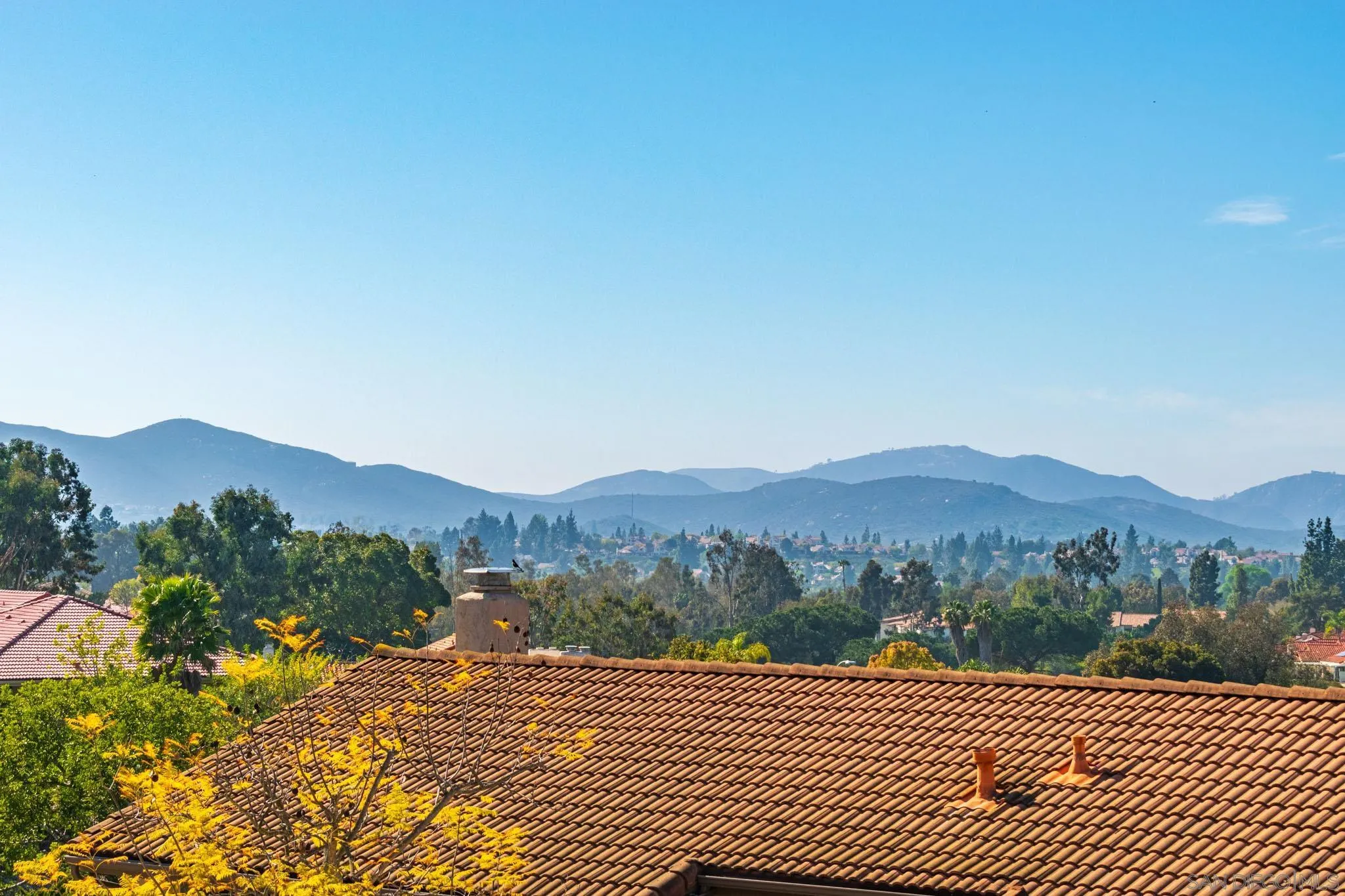 Photo #6: 250022601 Listing 
