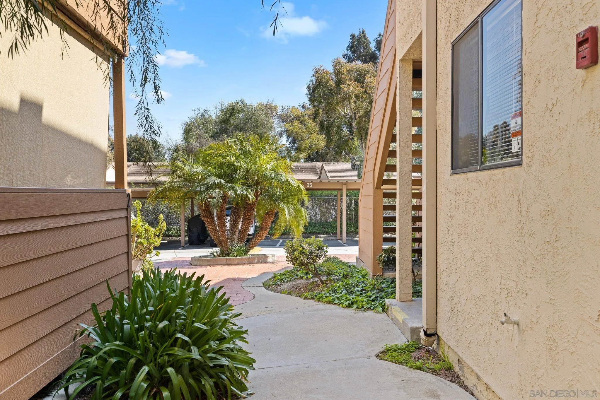 Photo #19: 250022708 Listing: Photo #19