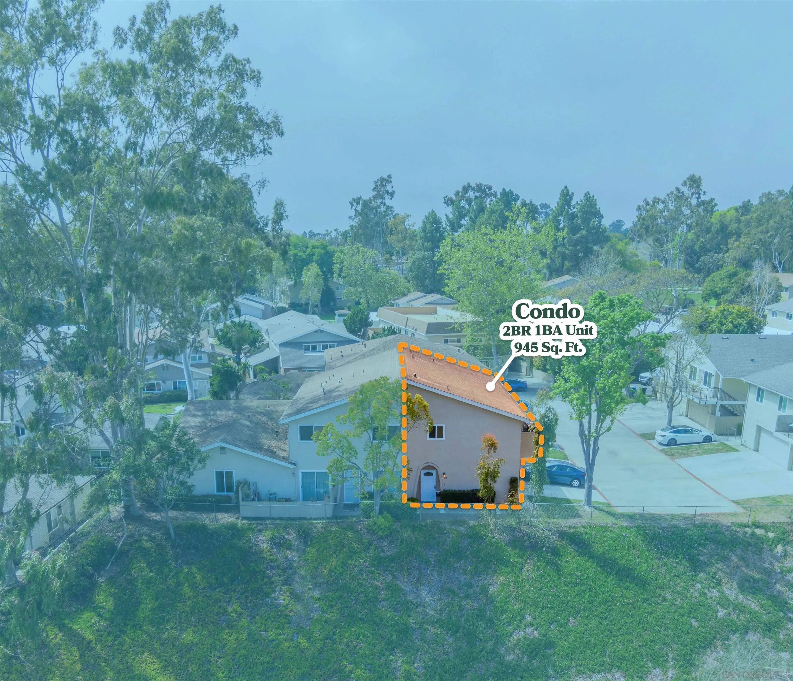 Photo #25: 250022931 Listing: Photo #25