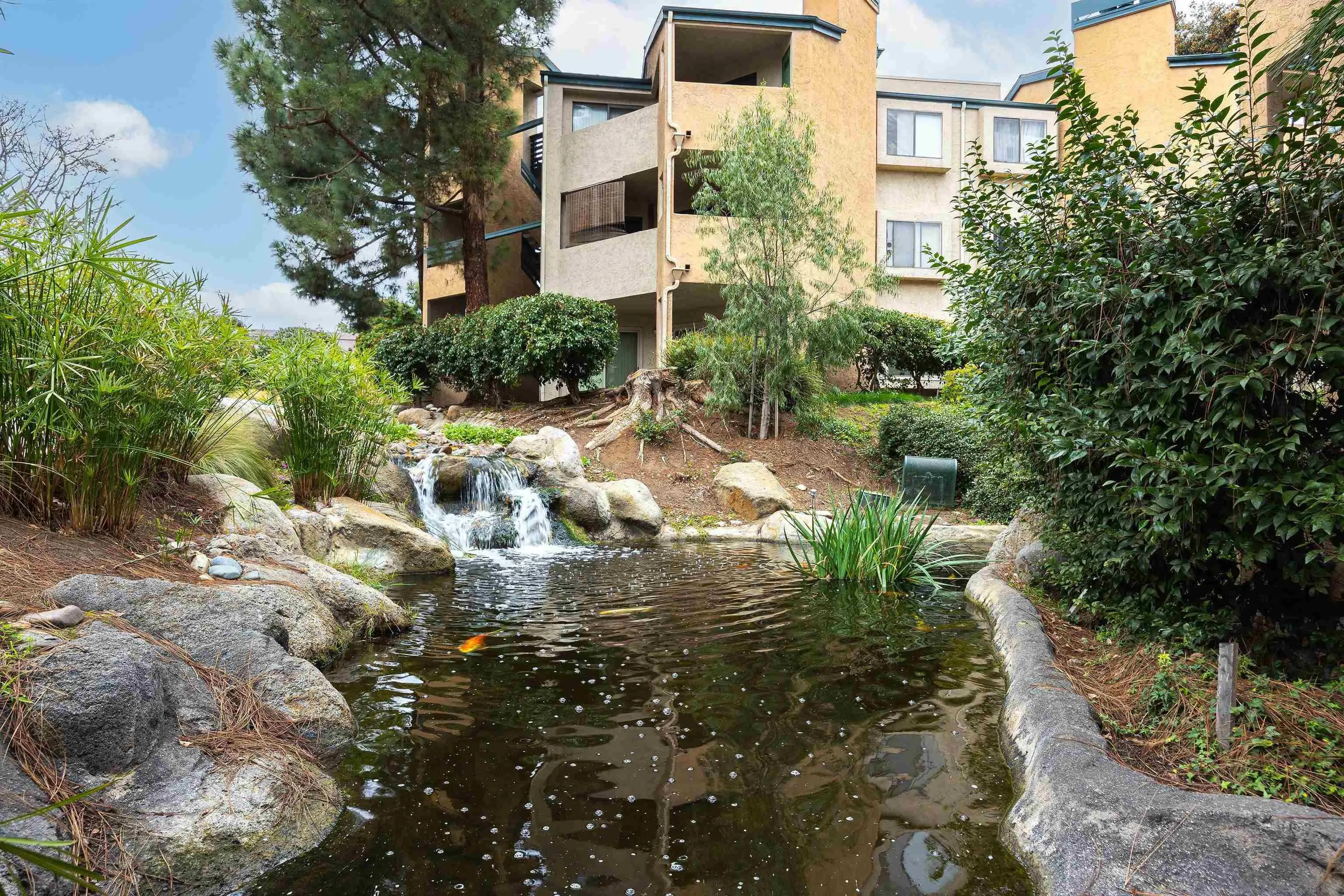 Photo #16: 250023131 Listing: Photo #16