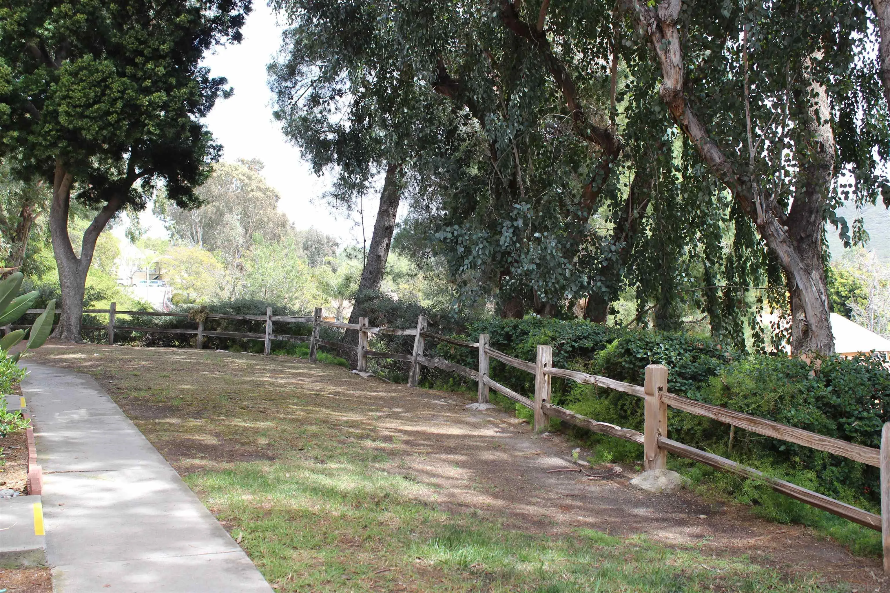 Photo #2: 250023153 Listing 