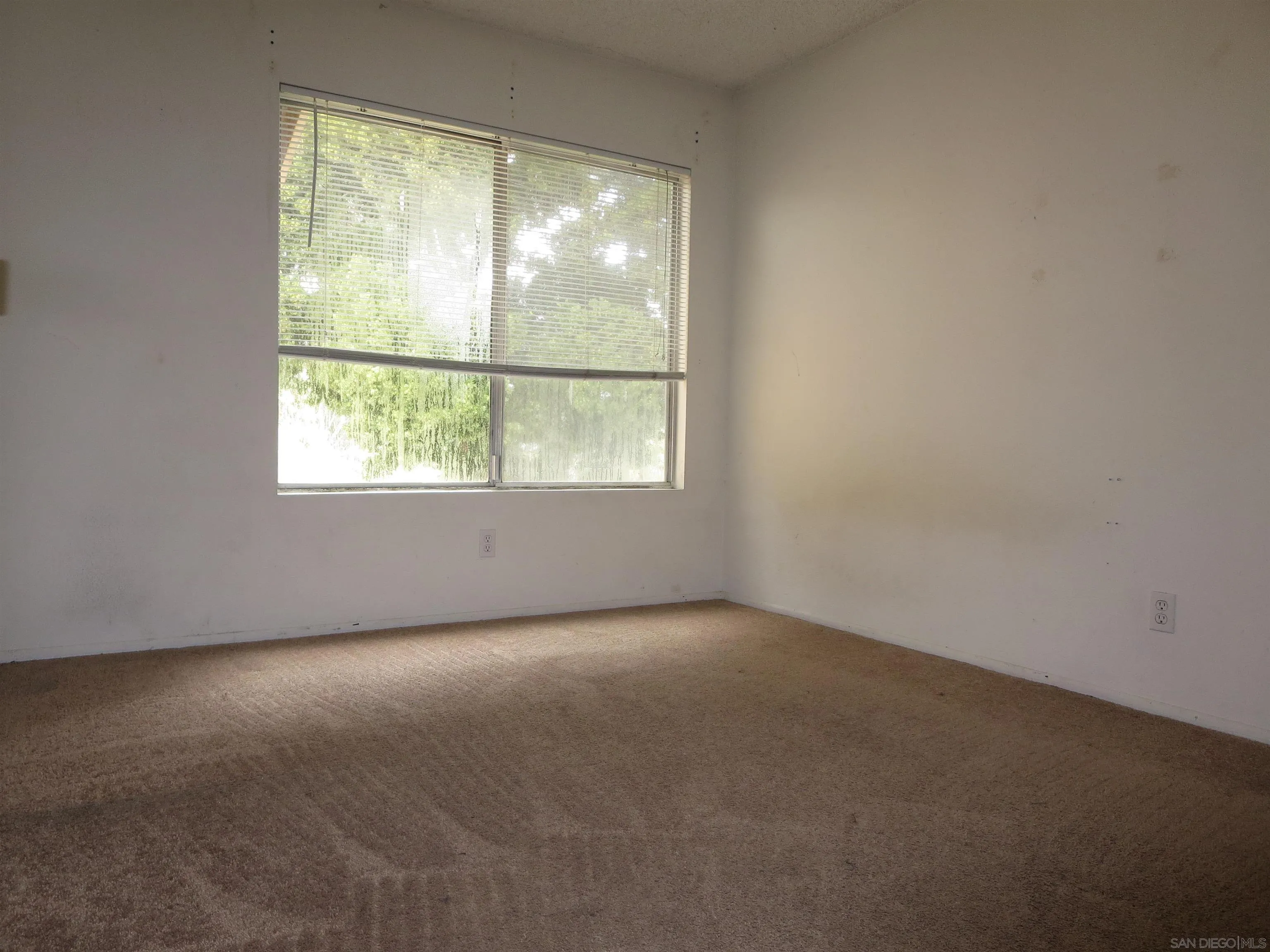 Photo #15: 250023153 Listing: Photo #15
