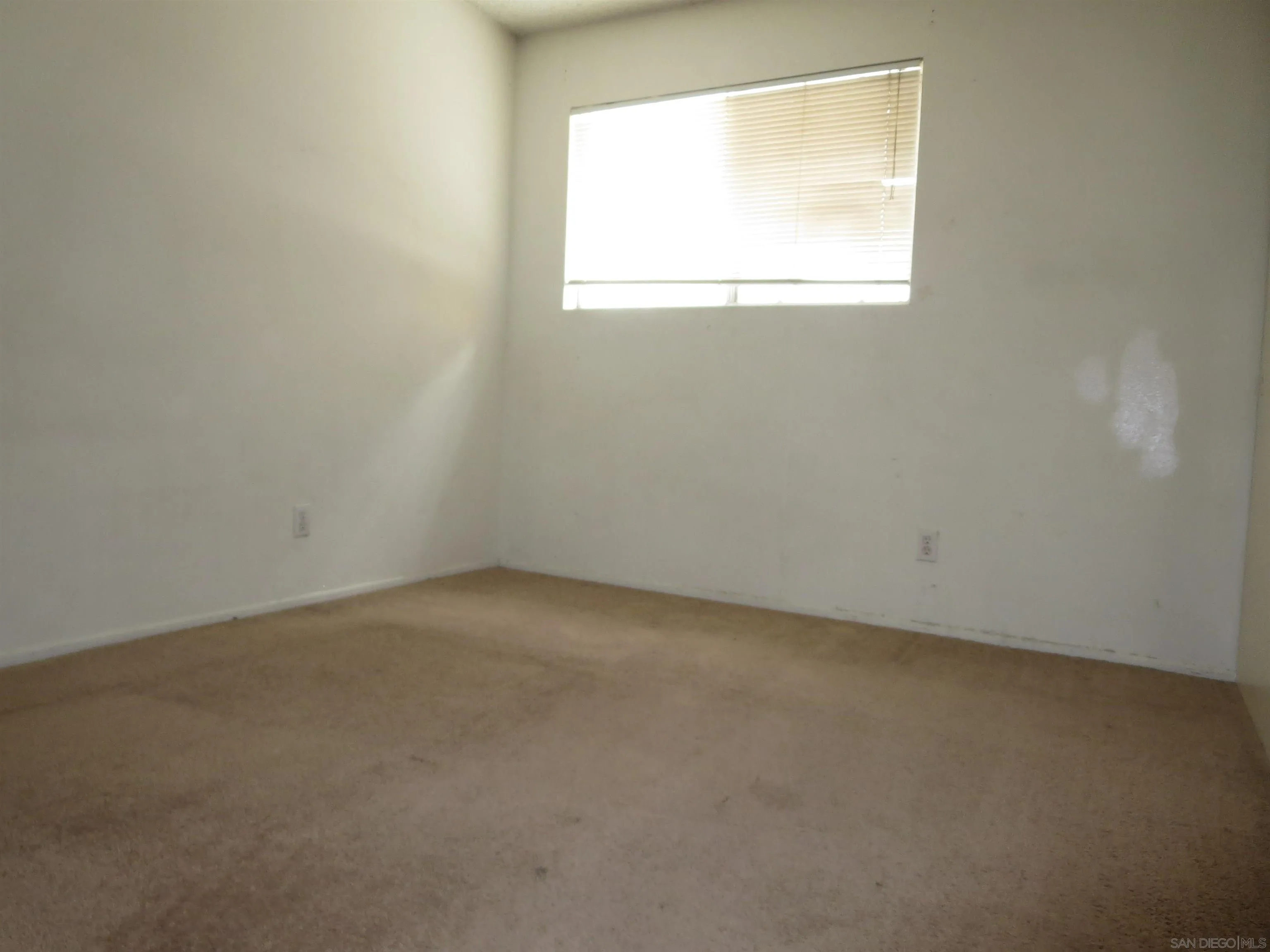 Photo #16: 250023153 Listing: Photo #16