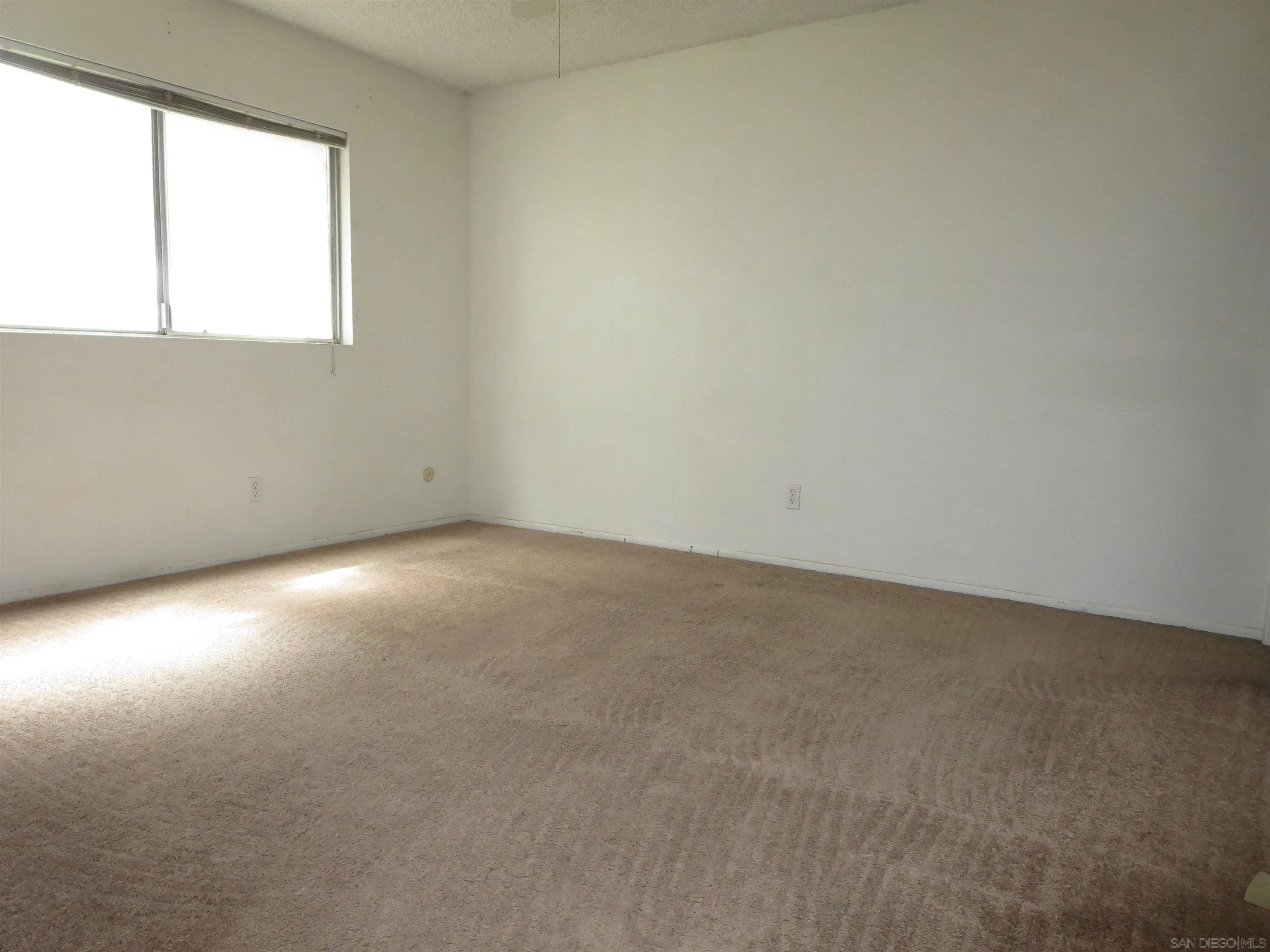 Photo #14: 250023153 Listing: Photo #14