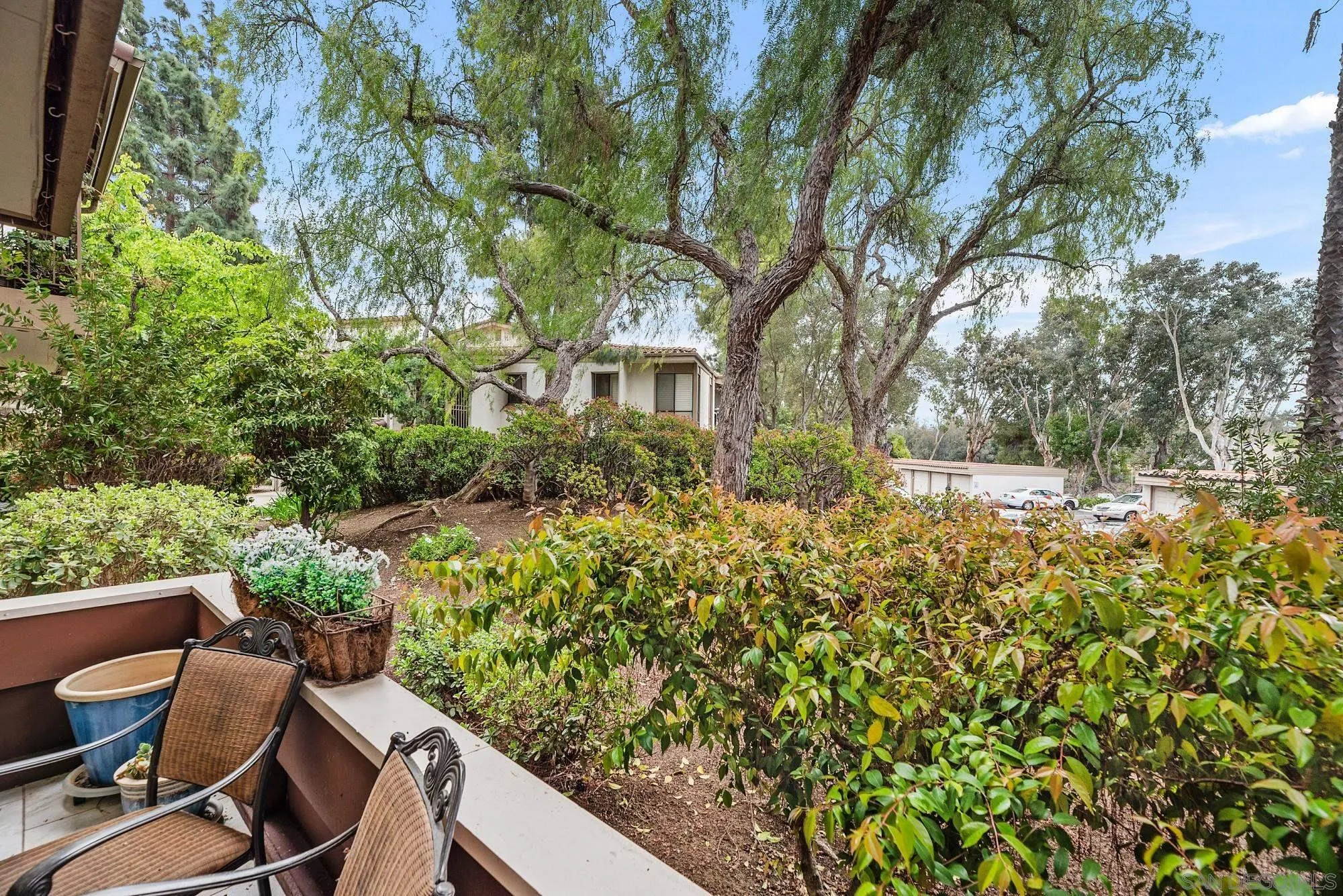 https://cdn.realtyfeed.com/cdn/127/250023218/24a7445515b3cdc5daf04fd36b264111.webp