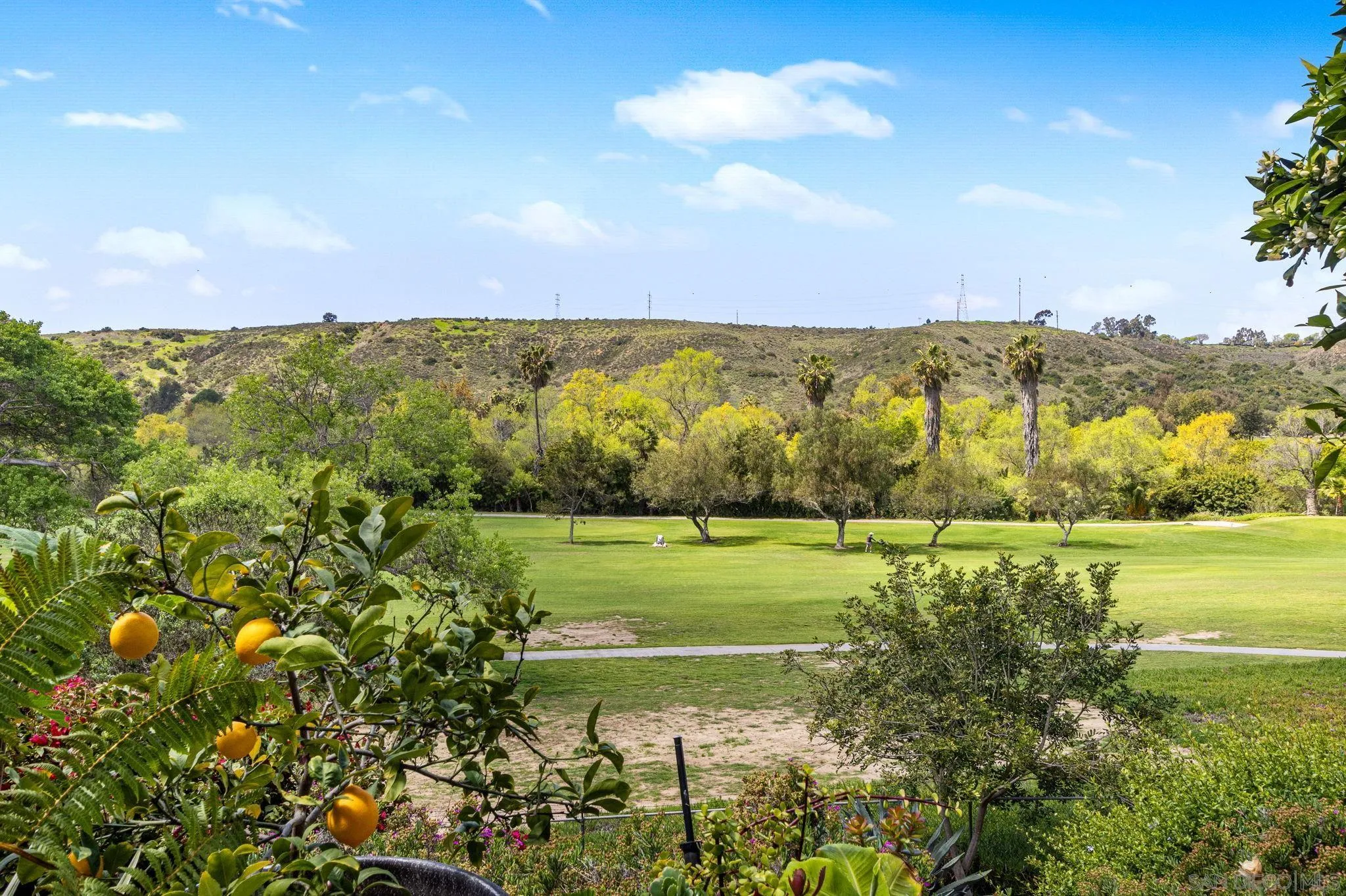 Photo #38: 250023579 Listing: Photo #38